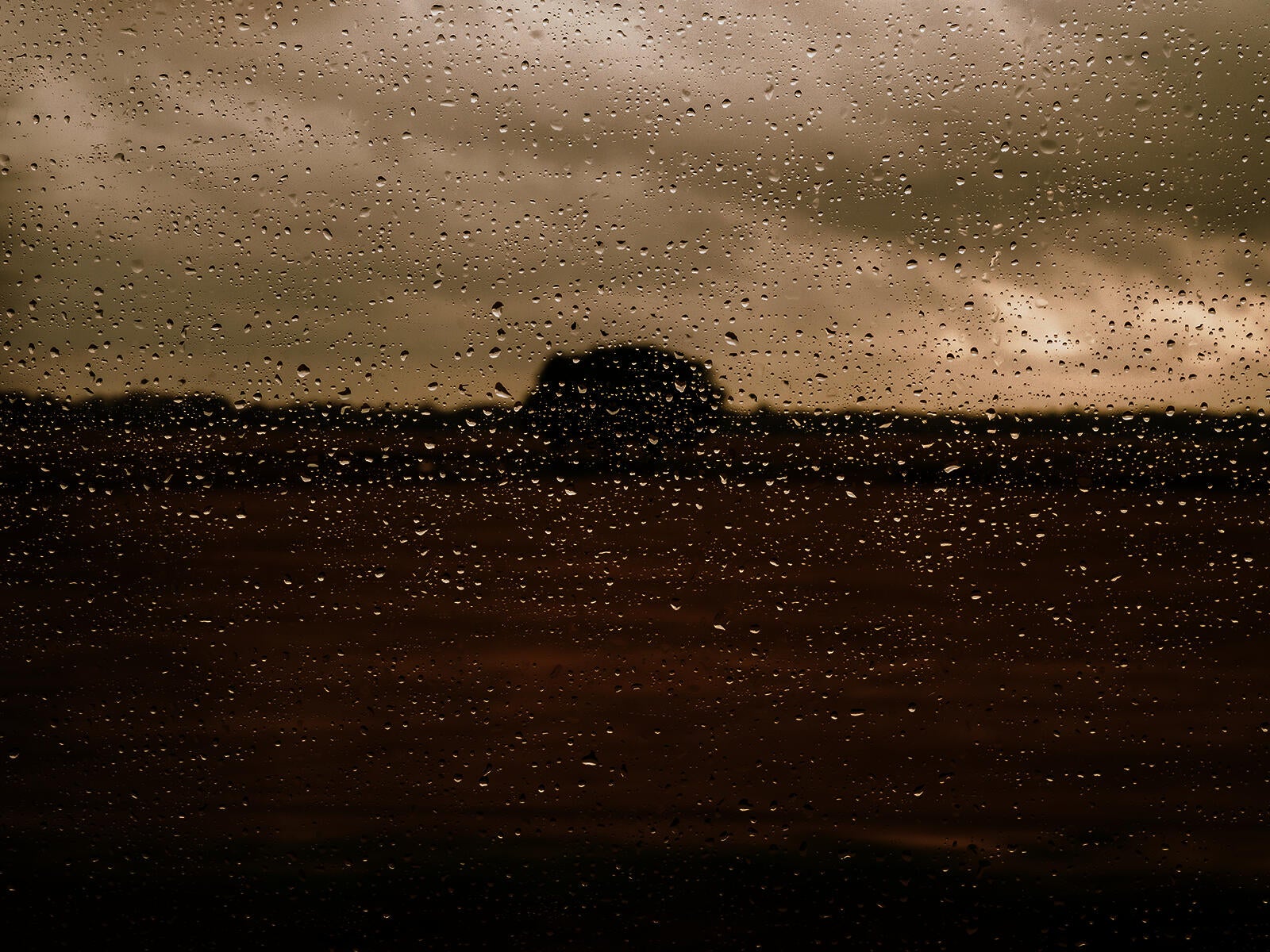 digital photographs