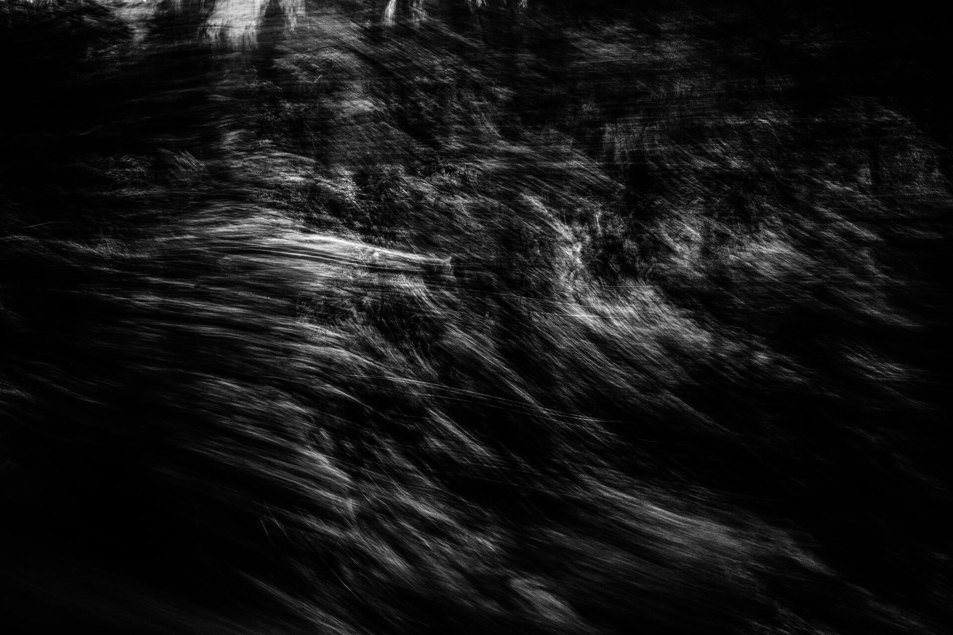 digital photographs