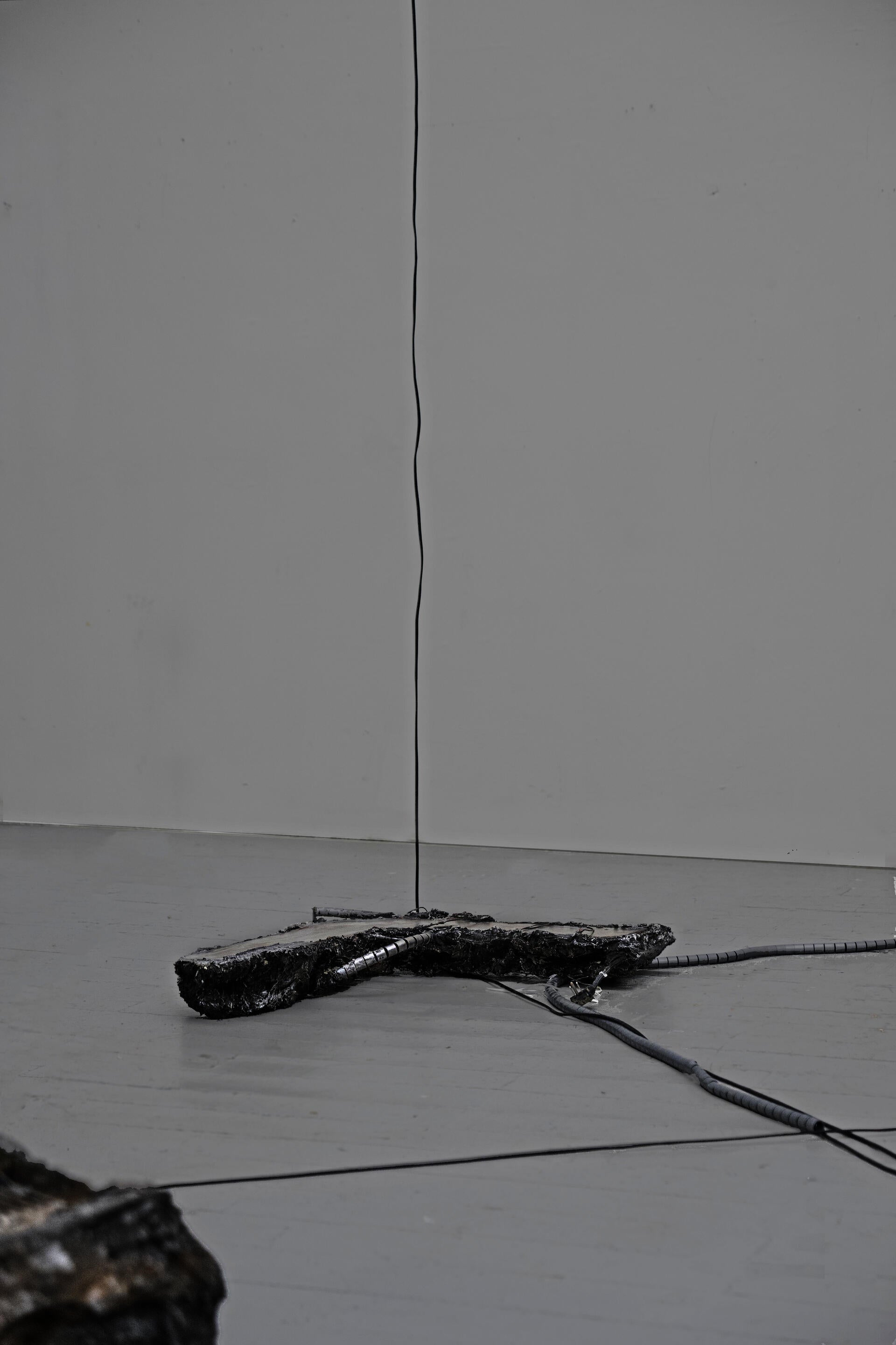 Video installation work by Lisha Nie