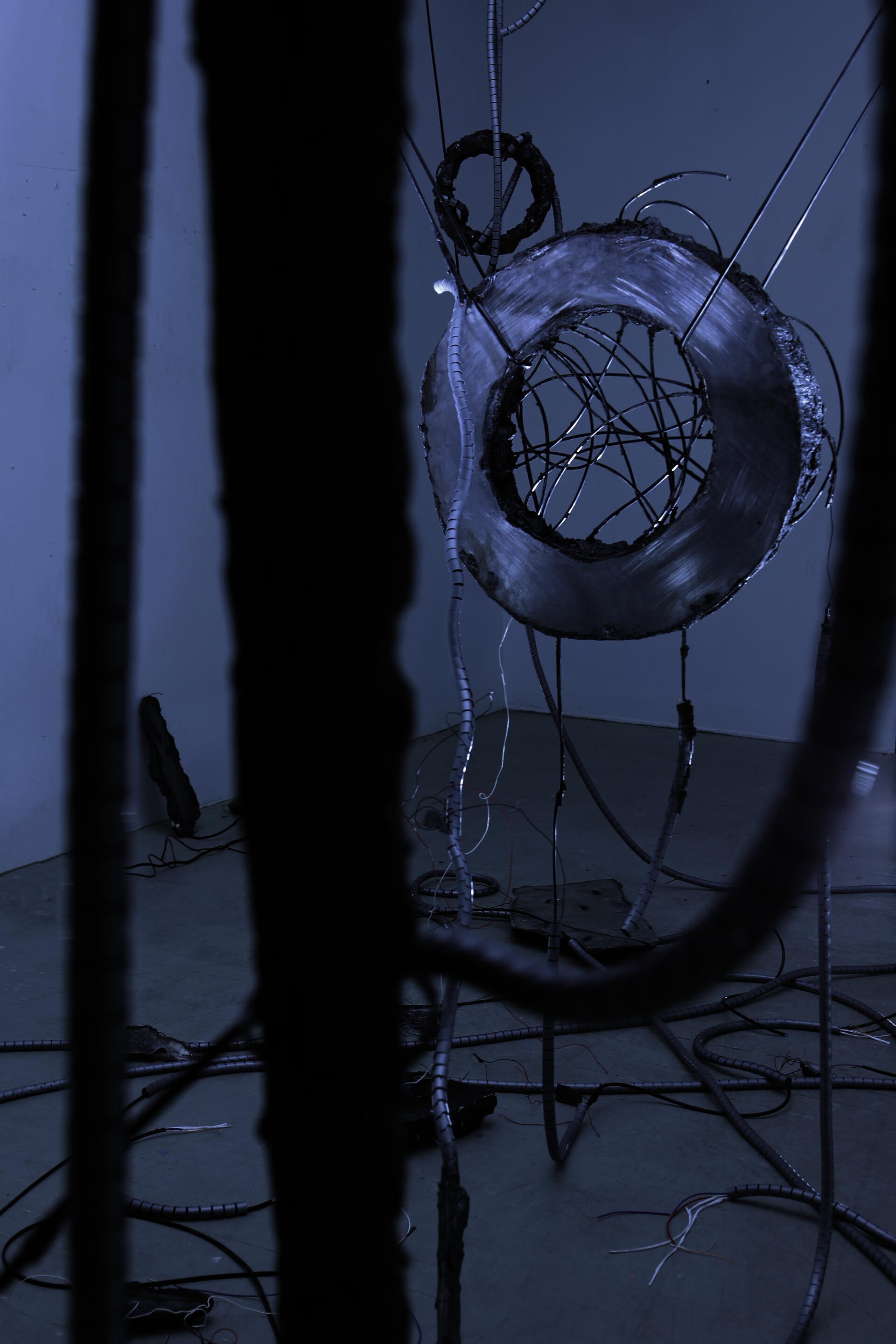 Video installation work by Lisha Nie