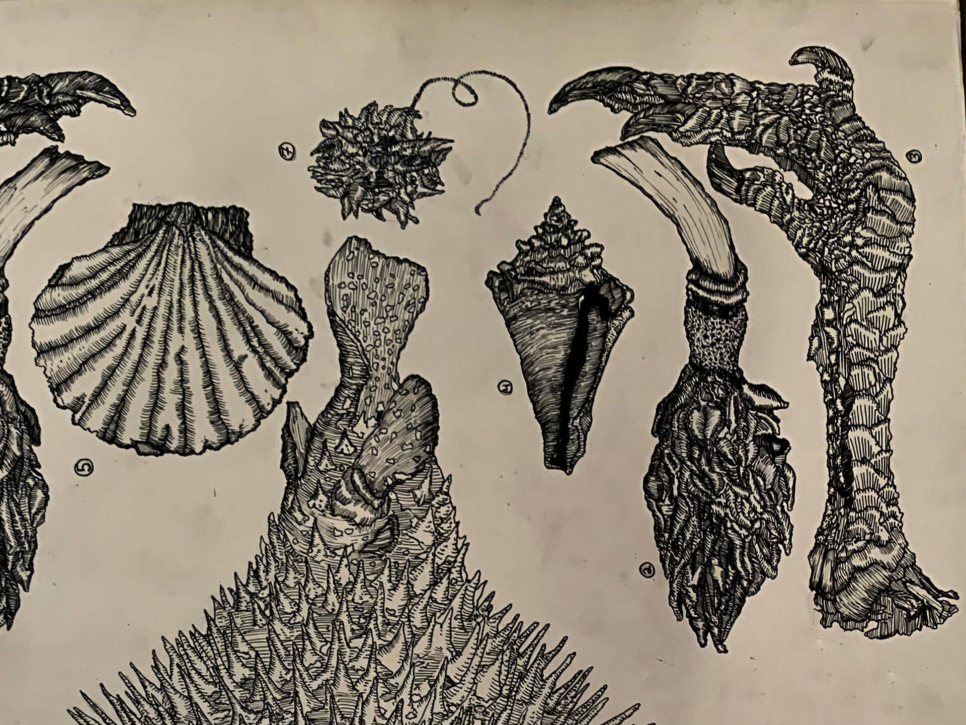 Pen and ink drawing