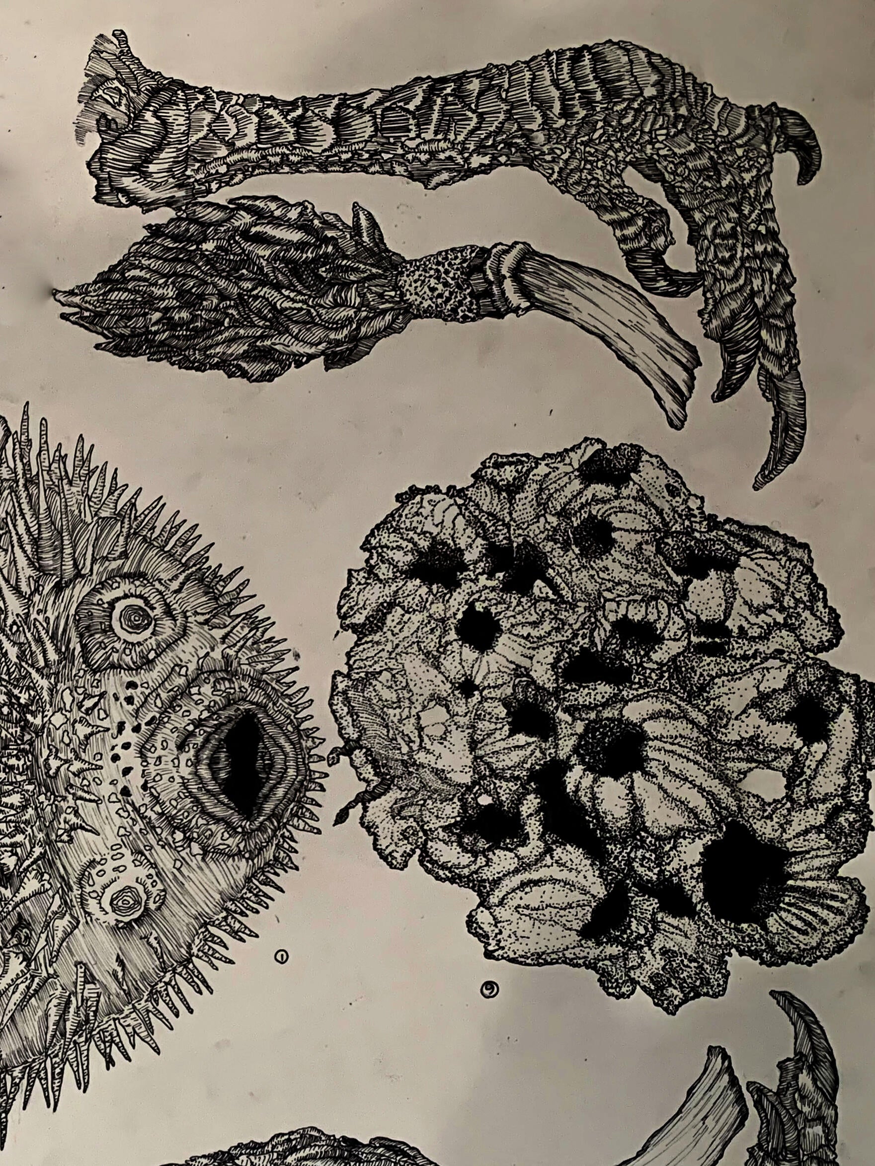 Pen and ink drawing