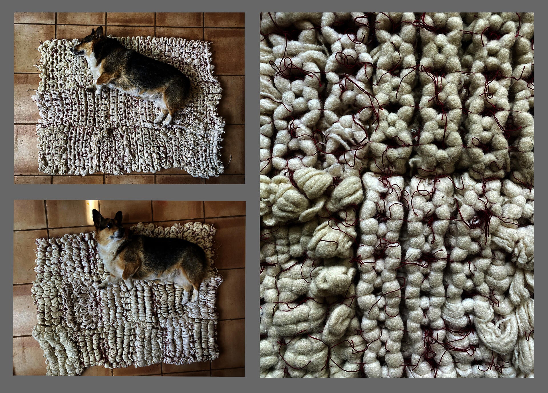 Dog bed