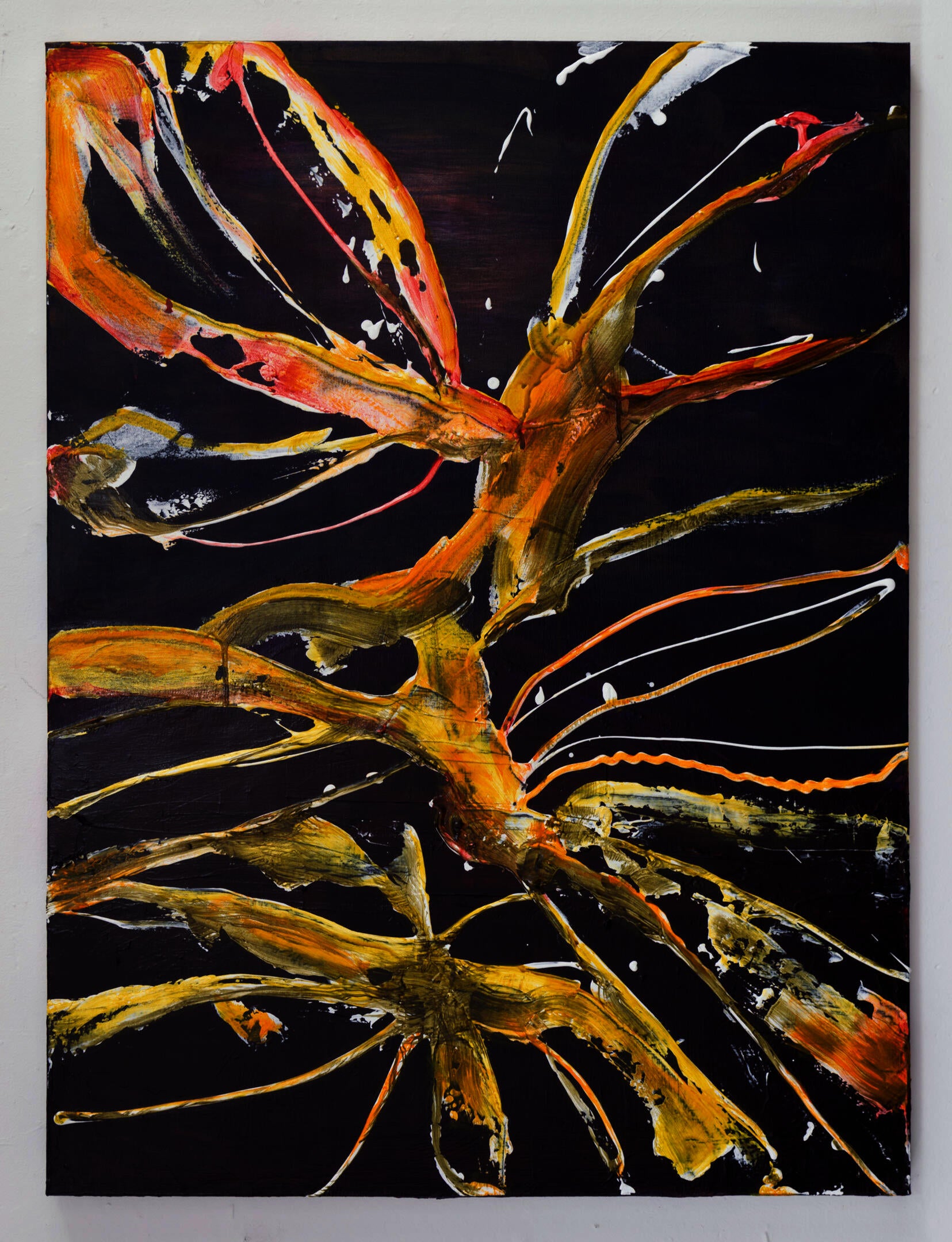 dying birds of paradise