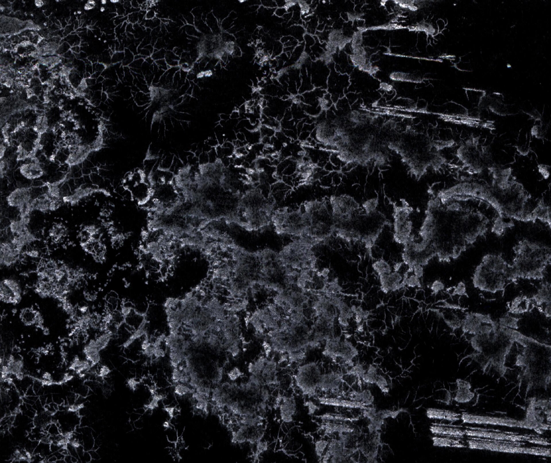 DUALITY 5