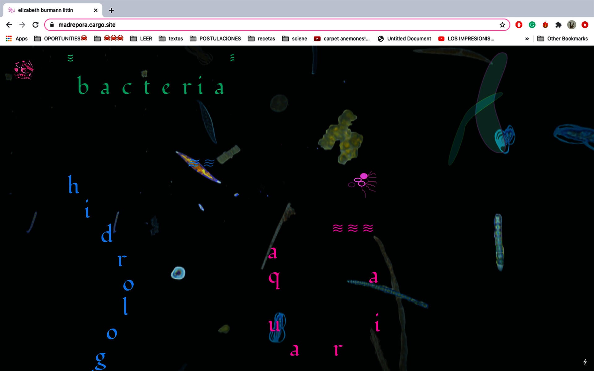 screenshot of a web browser, at a site with a black background and floating colorful shapes. The word "bacteria" is visible