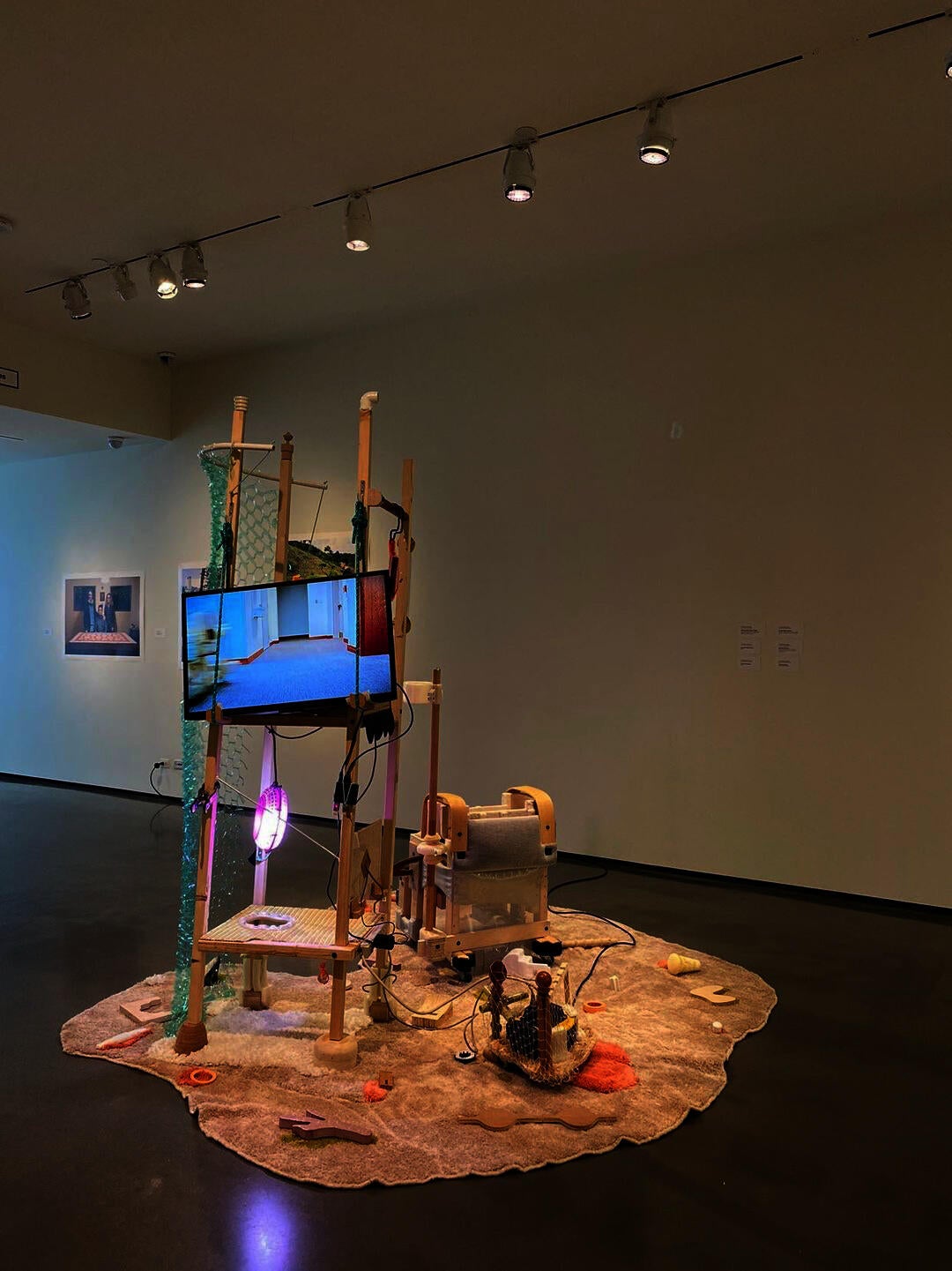 Image of the work installed in the gallery