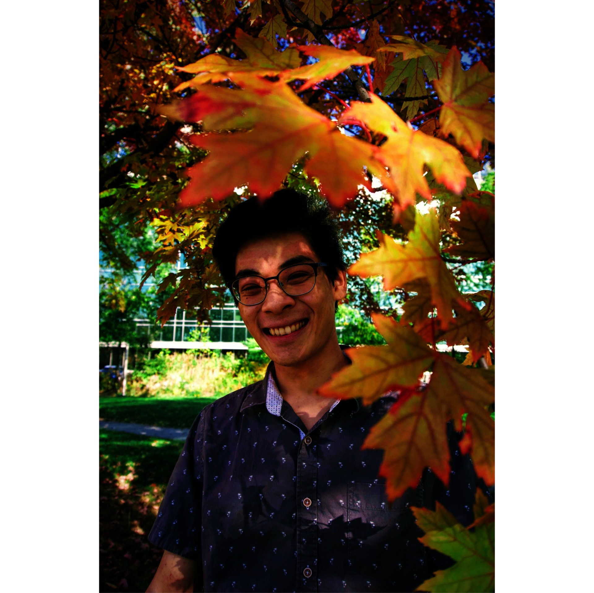 Photo of Foli