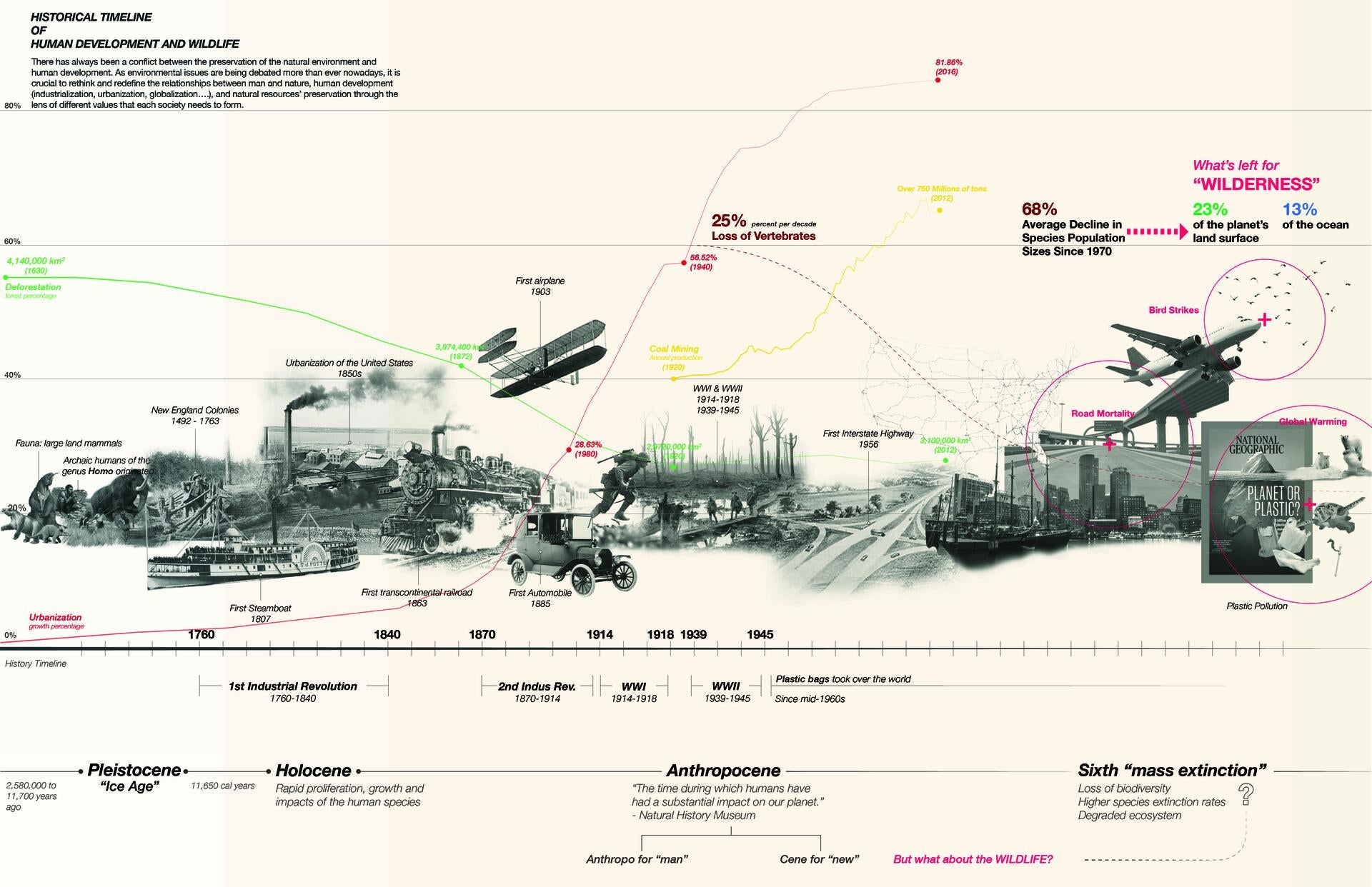 timeline