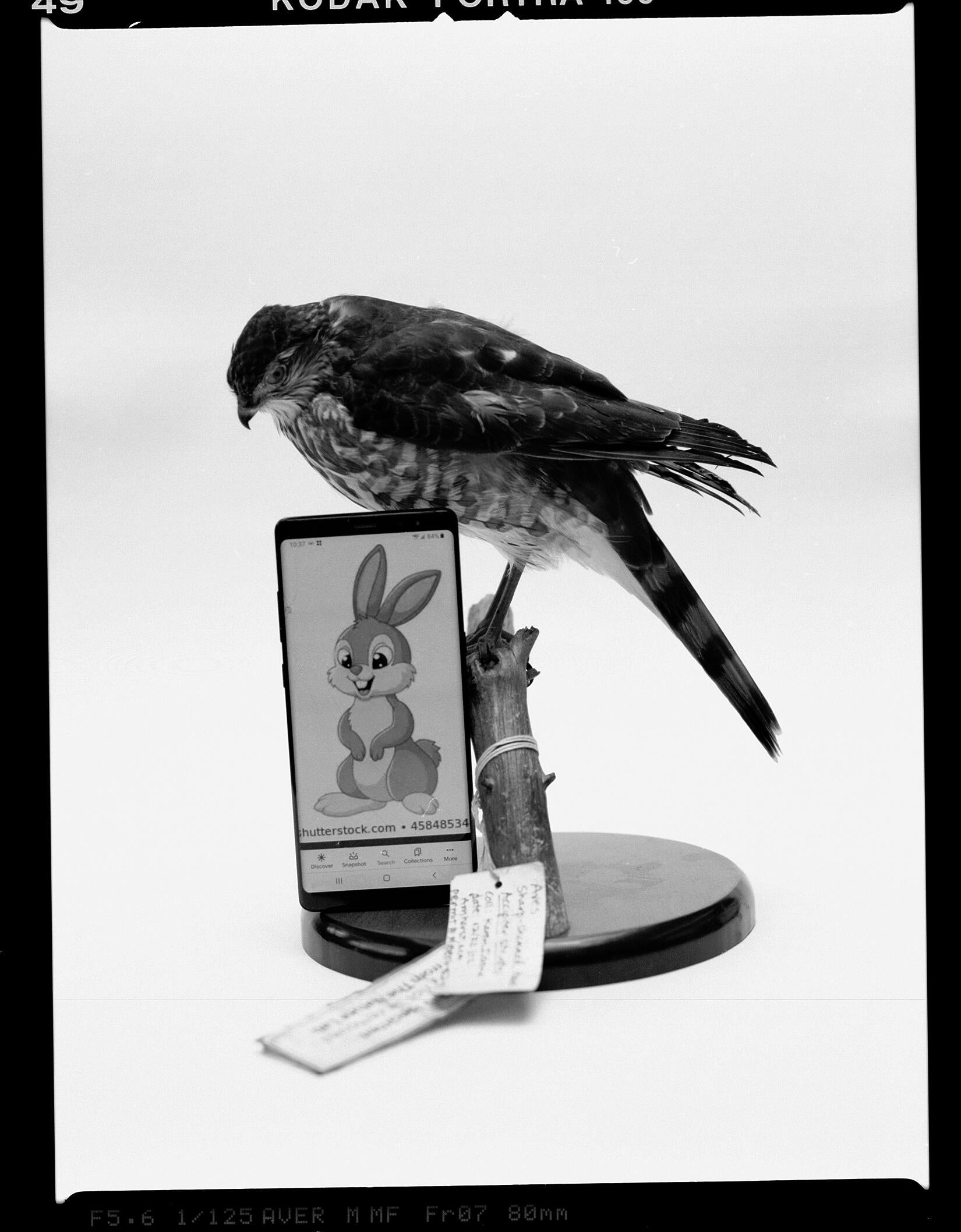 Steffanie_Padilla_Phone