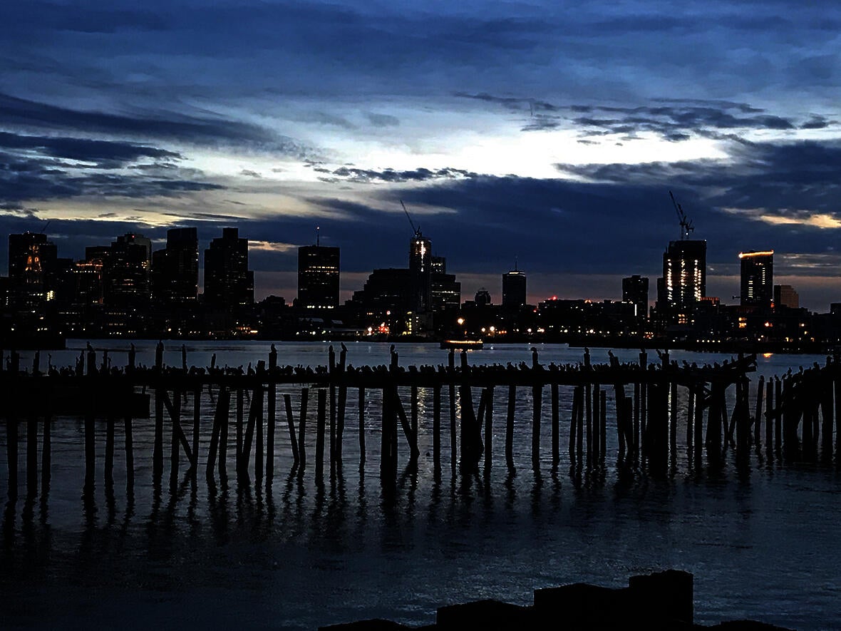 Cormorants on a derelict pier in East Boston
