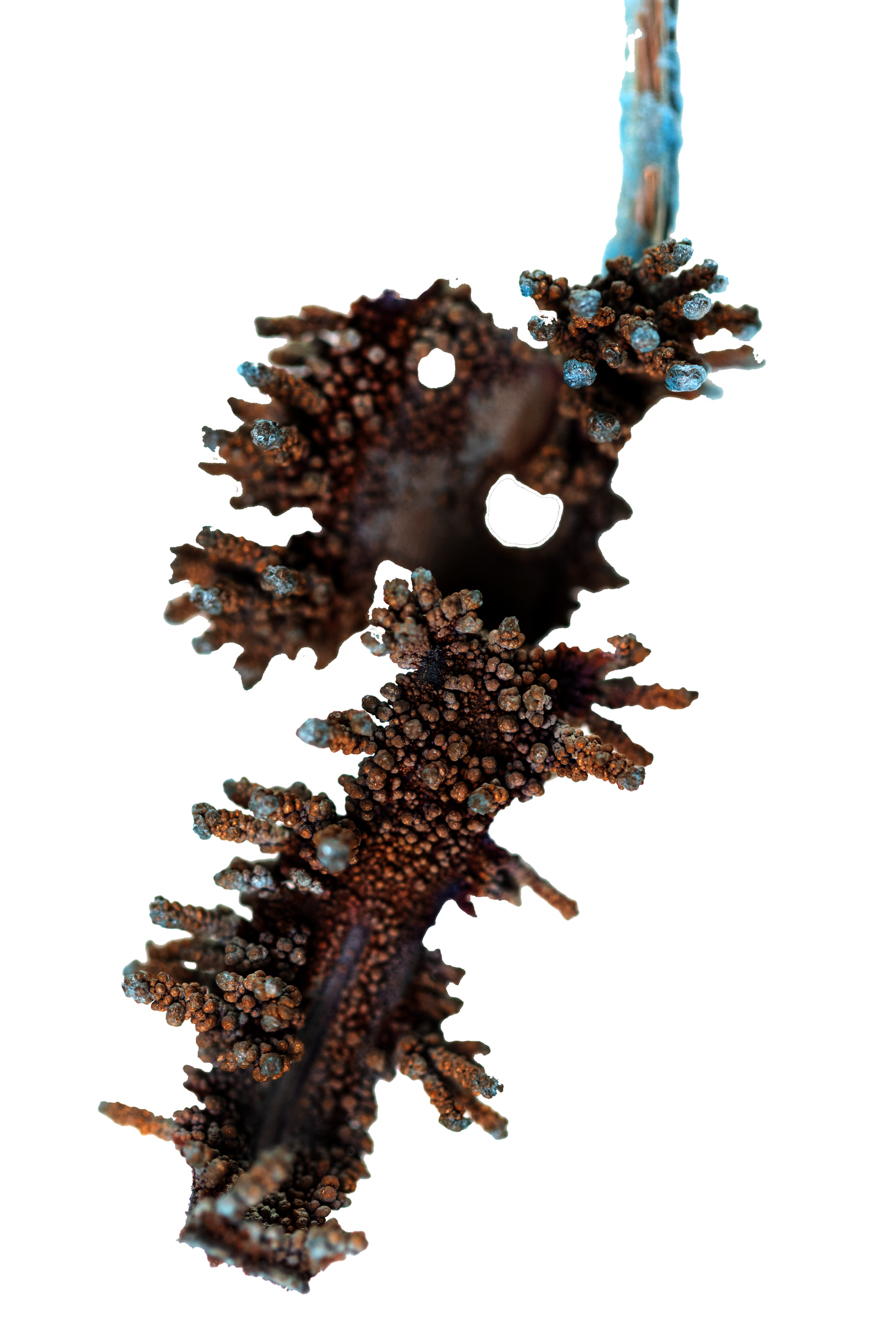 home-grown copper crystal
