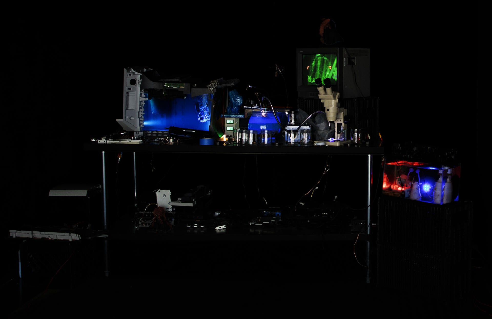 installation view