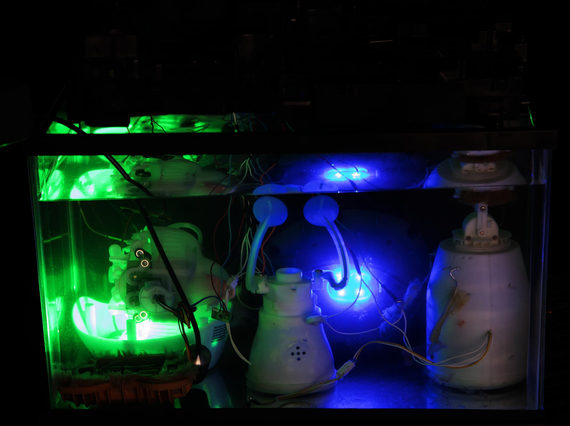installation view, animatronic toys in oil
