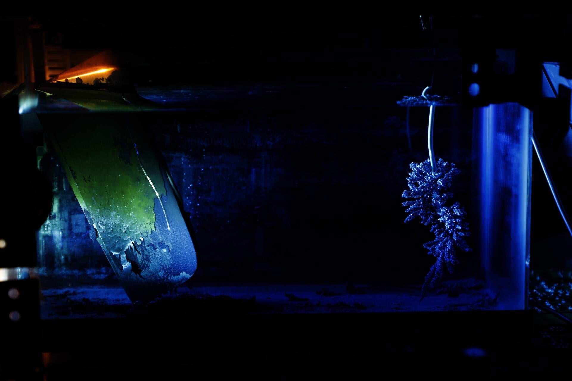 installation view of copper in blue liquid
