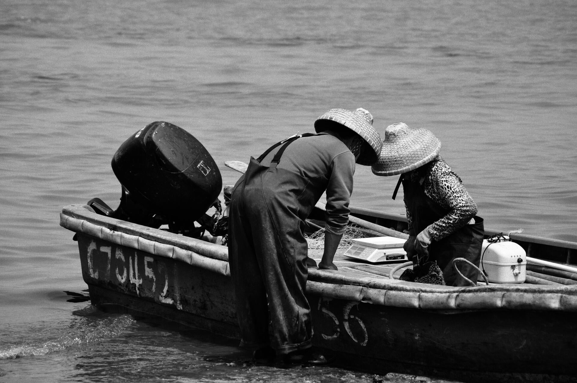 local oyster farmer_2