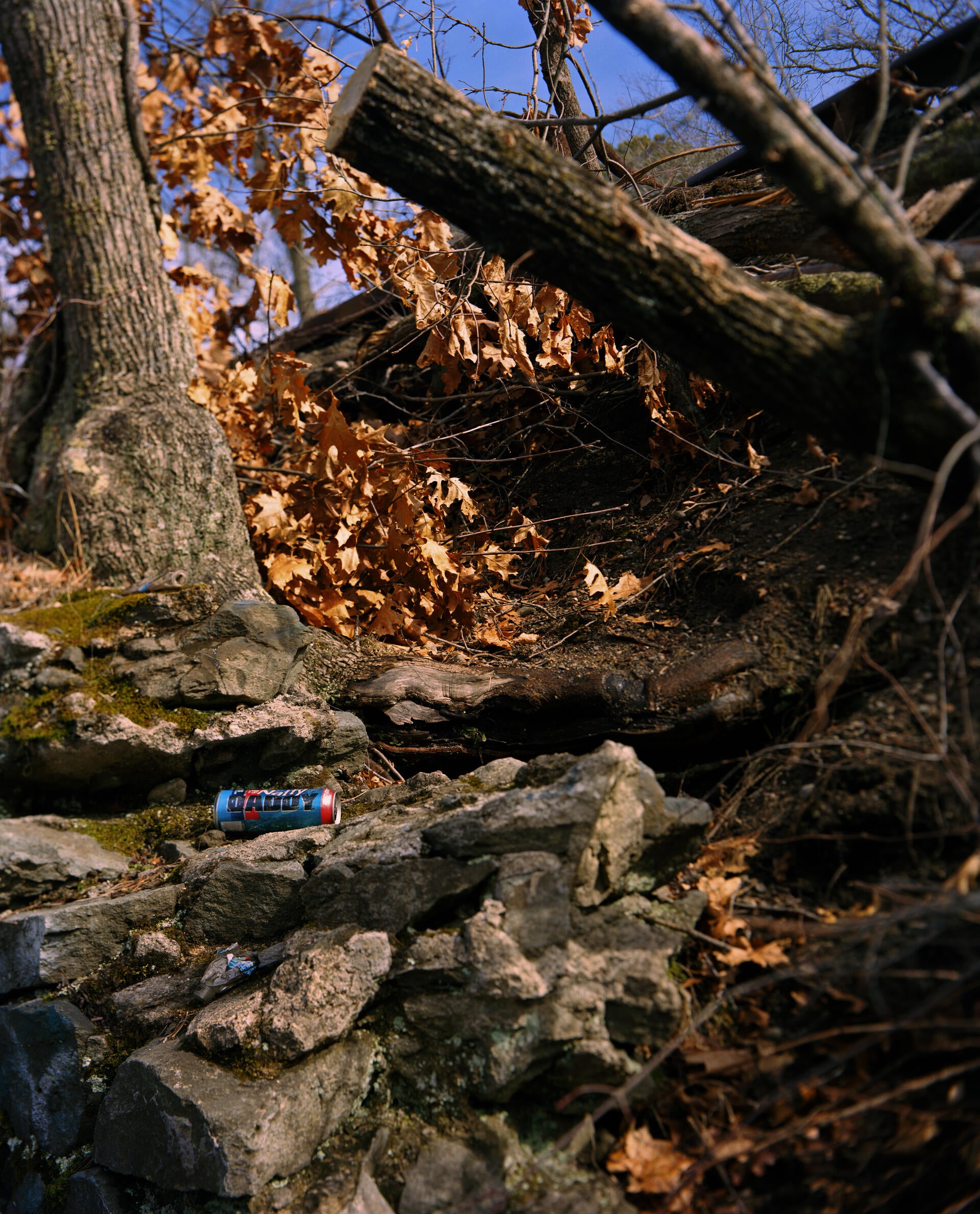 A beer can with the label "DADDY" lays on a pile of rocks.