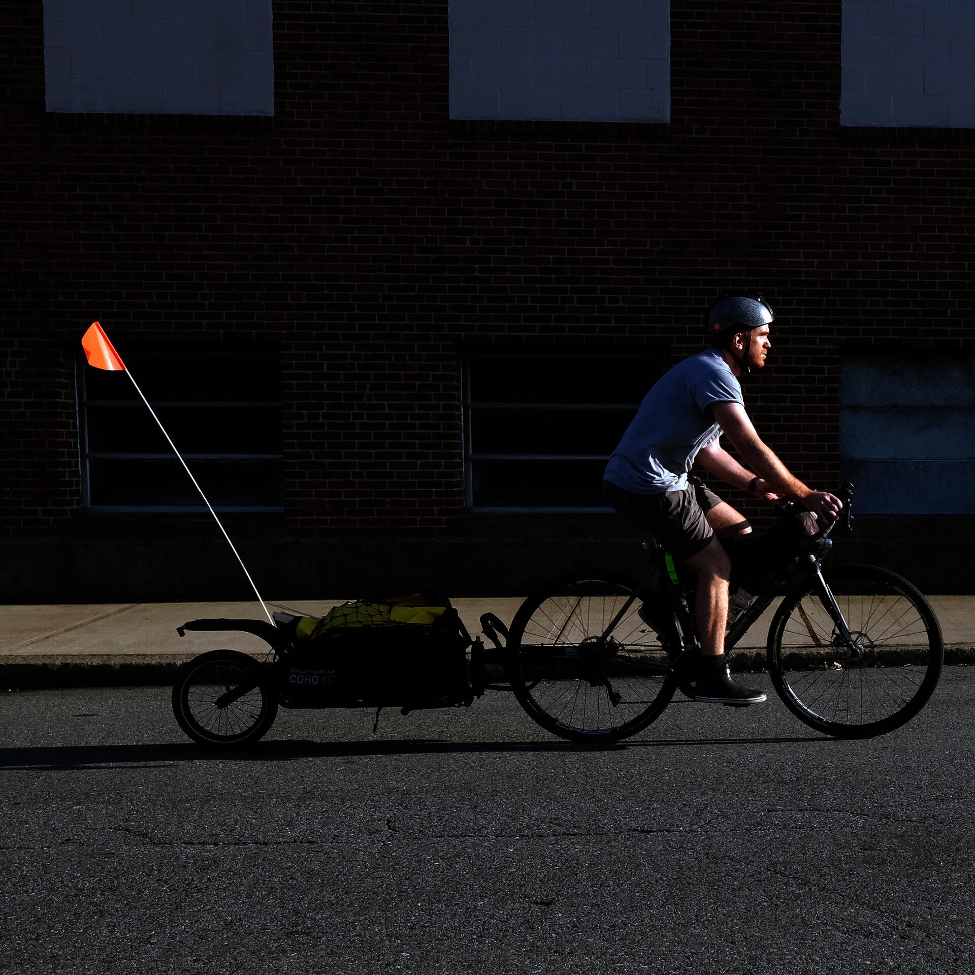 Photo of me riding my bicycle, towing my trailer loaded with wood for the last piece of furniture for my thesis.