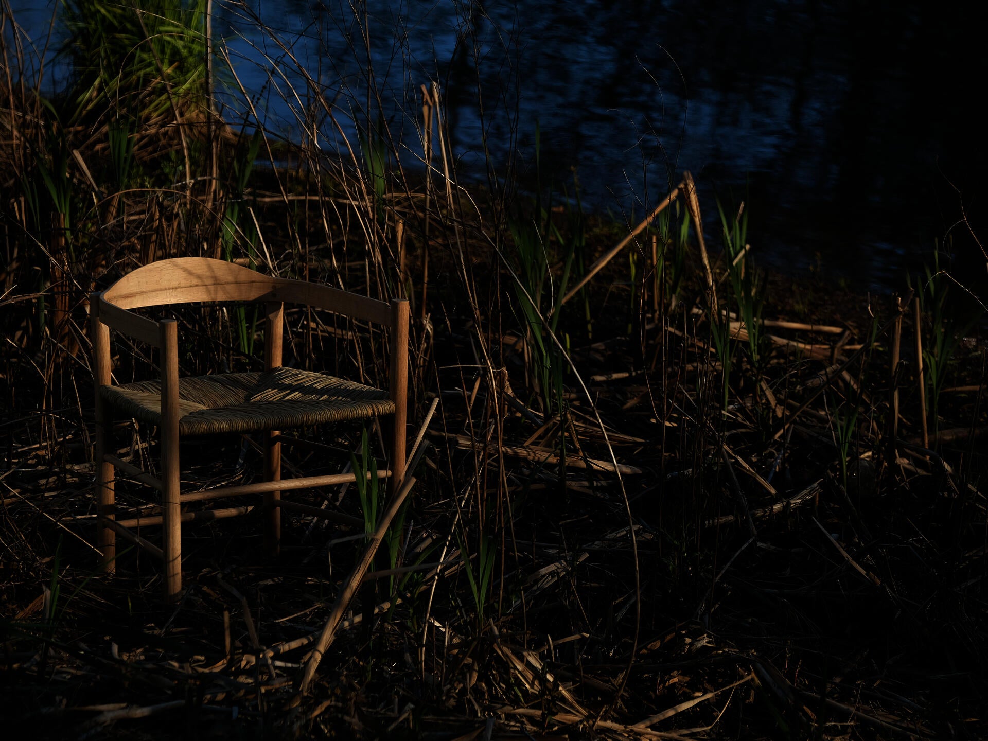 Image of the Counting Calories chair on a bank of the Pawtuxet River where some of the cattails for its seat were harvest in autumn.