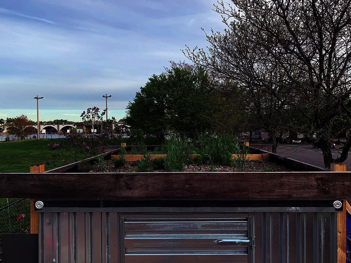green roof photo