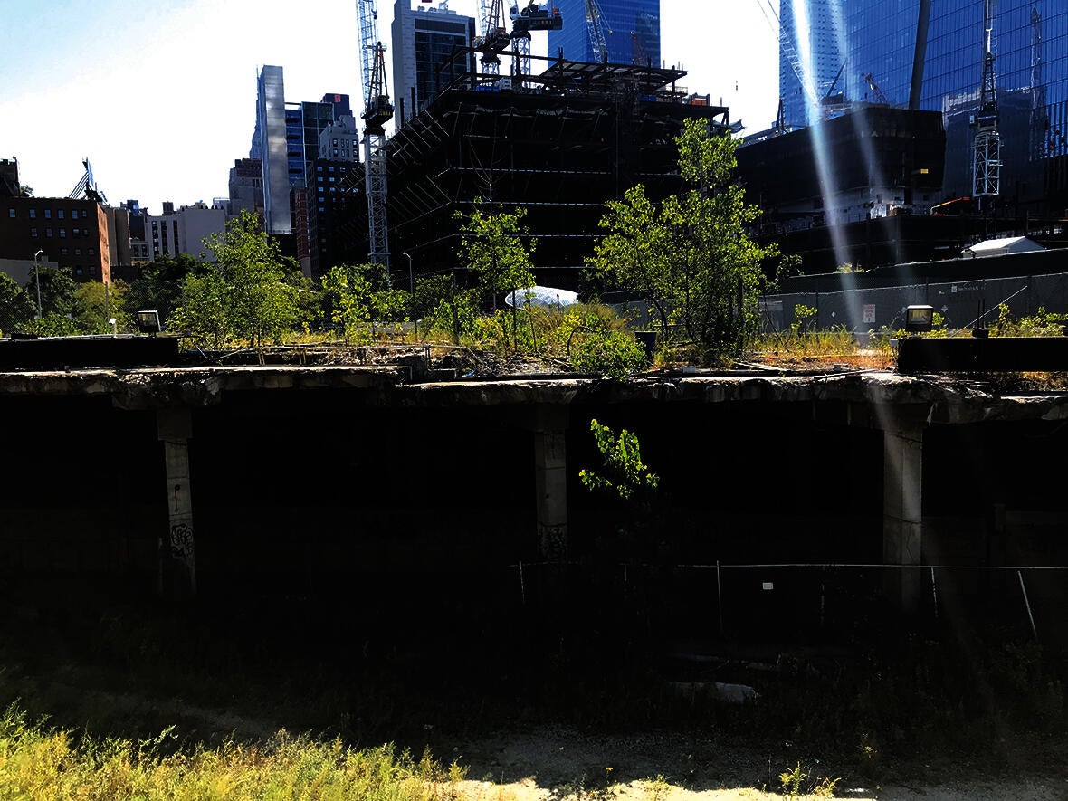 The Hudson Yards before the High Line