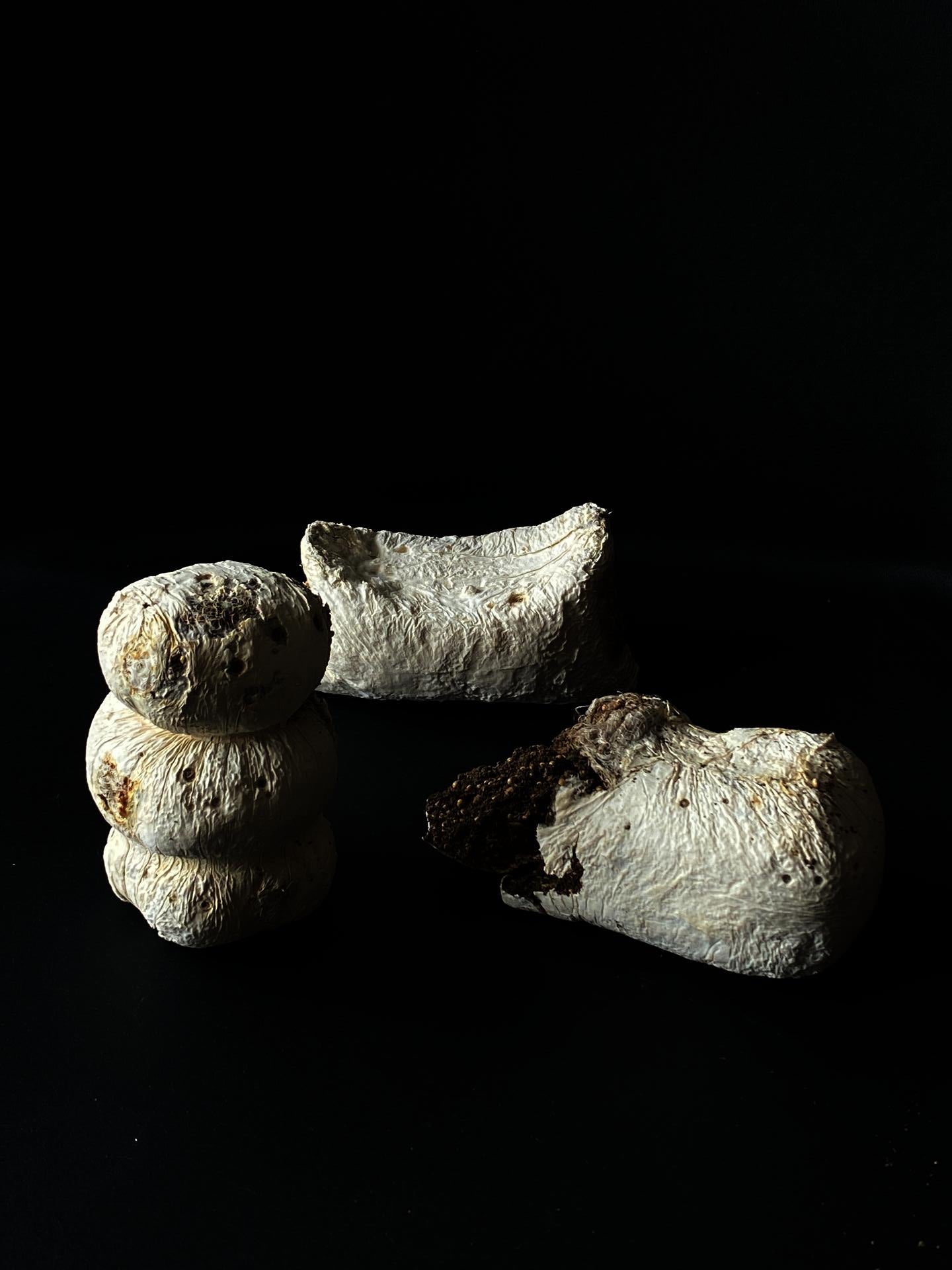 Mycelium Stool
