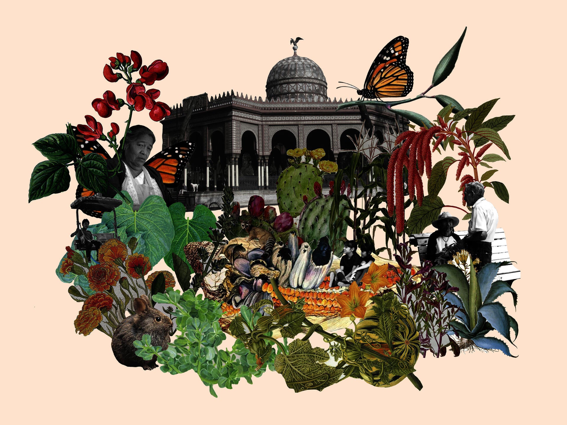 Collage with different native mexican plants, elders and children; the Morisc Kiosk in the background.