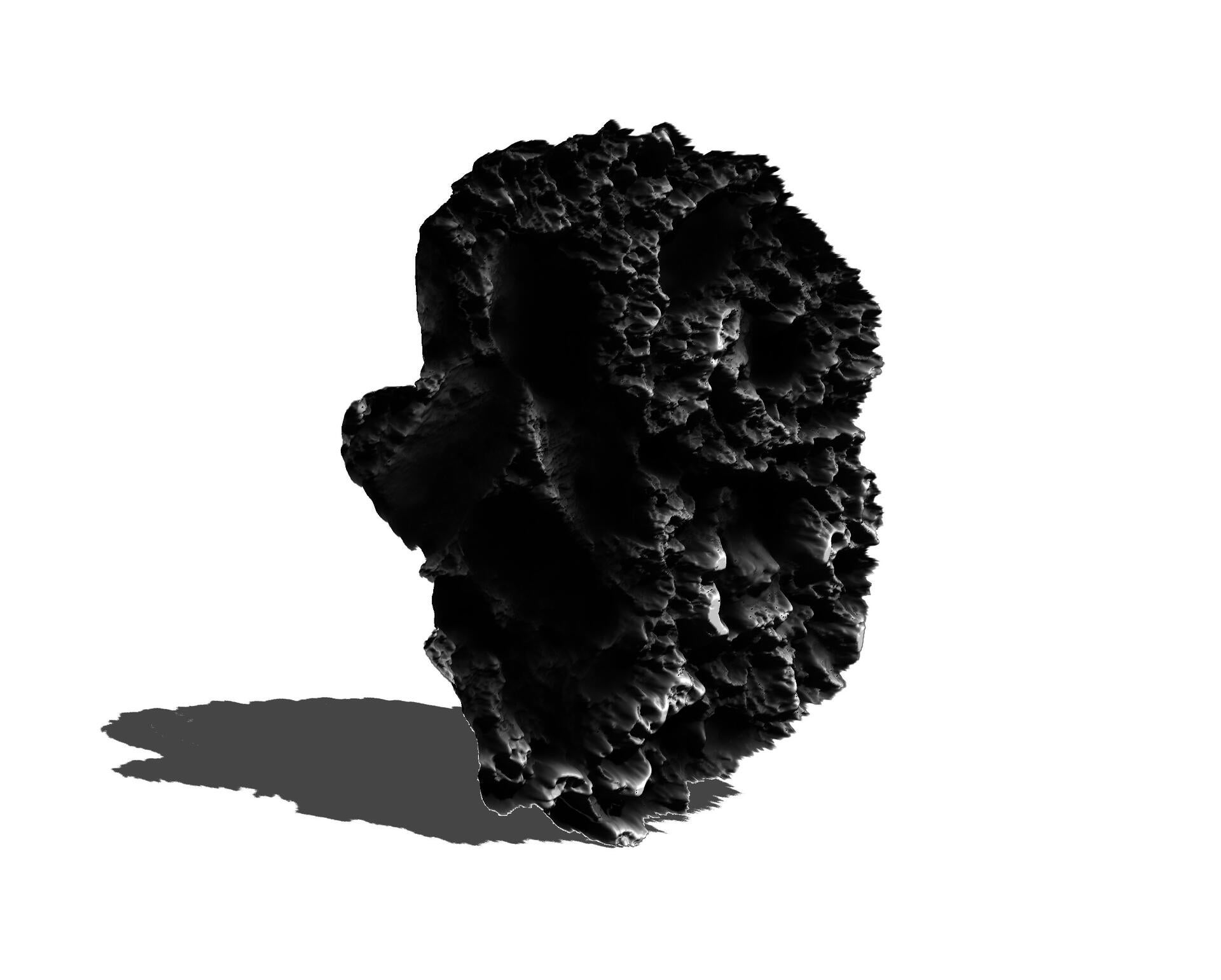 Coral bump map