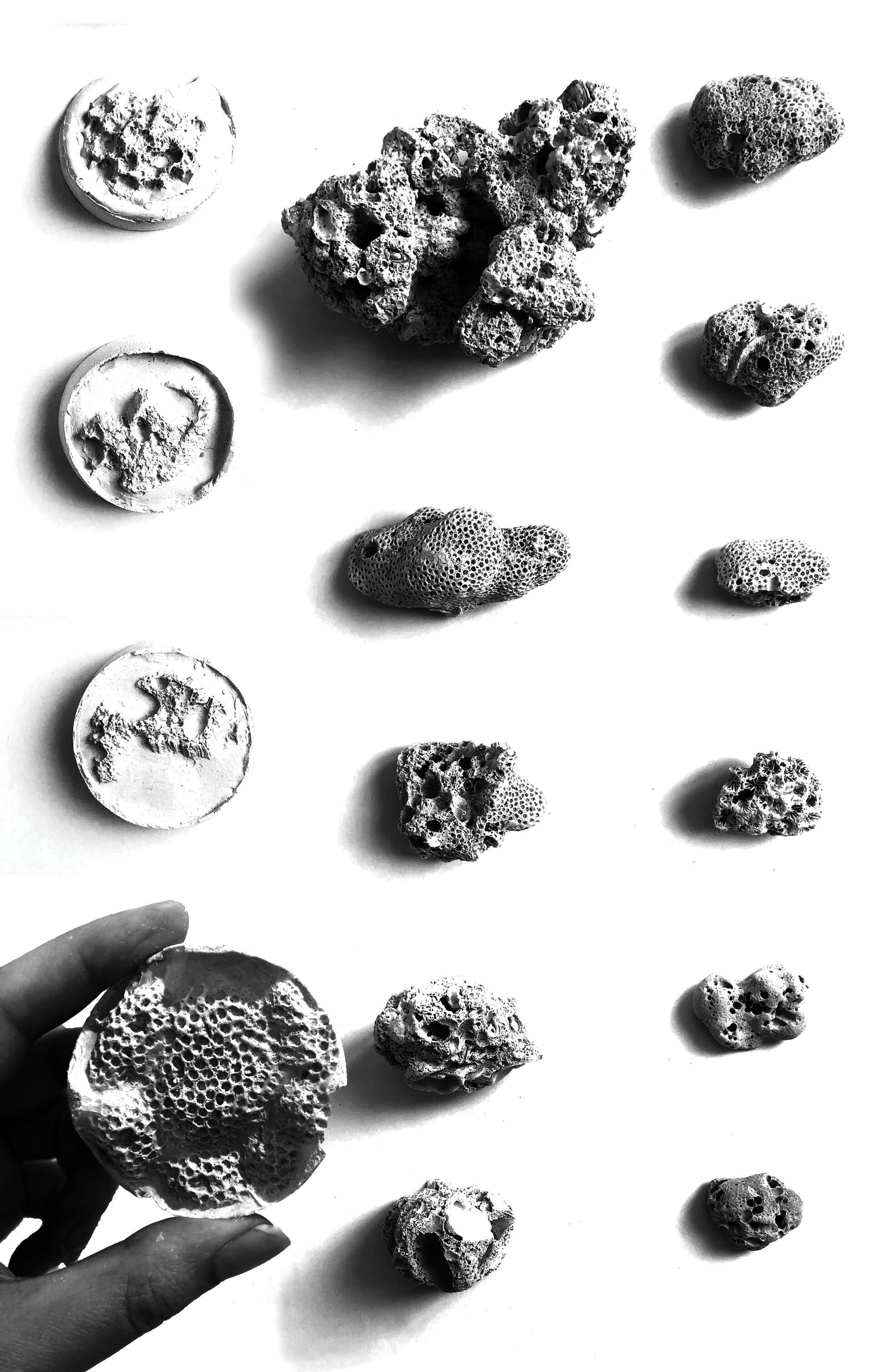 Coral experimentation through plaster modeling