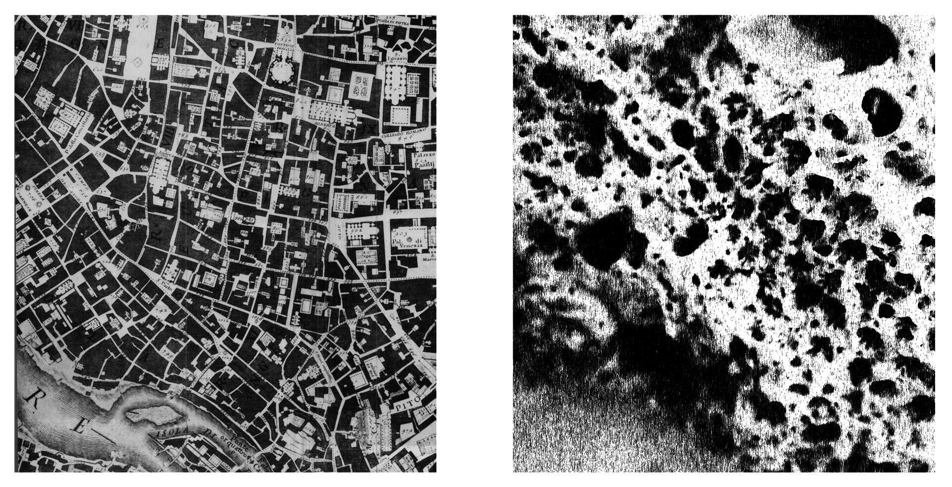 A mapping of the coral is compared to the Nolli map of Rome as a mass/void and static/kinetic relationship