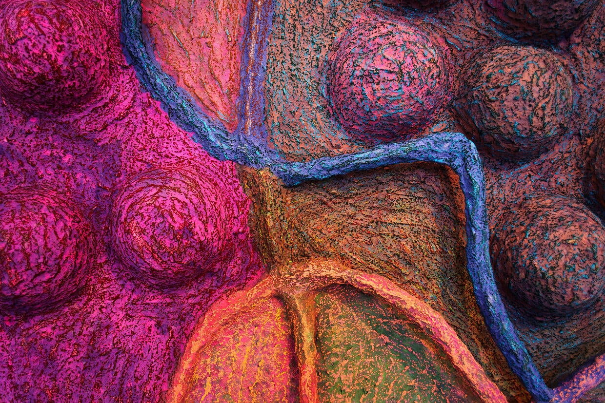 Swergold_Detail1