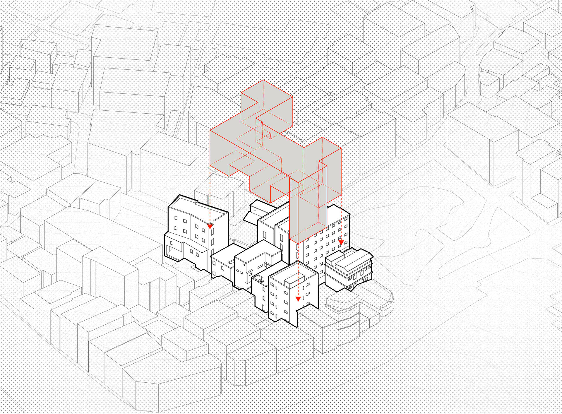Unraveling the living physical strategy