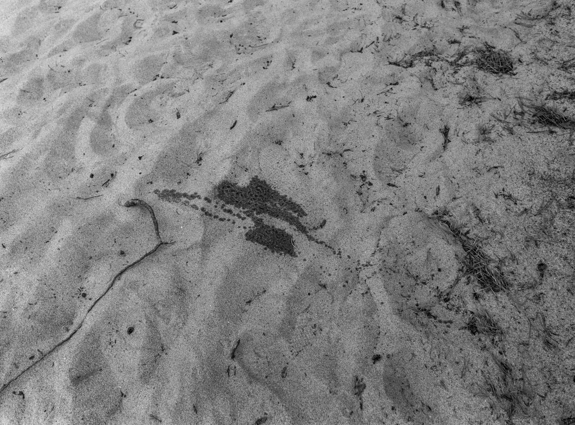 a black and white image of piss