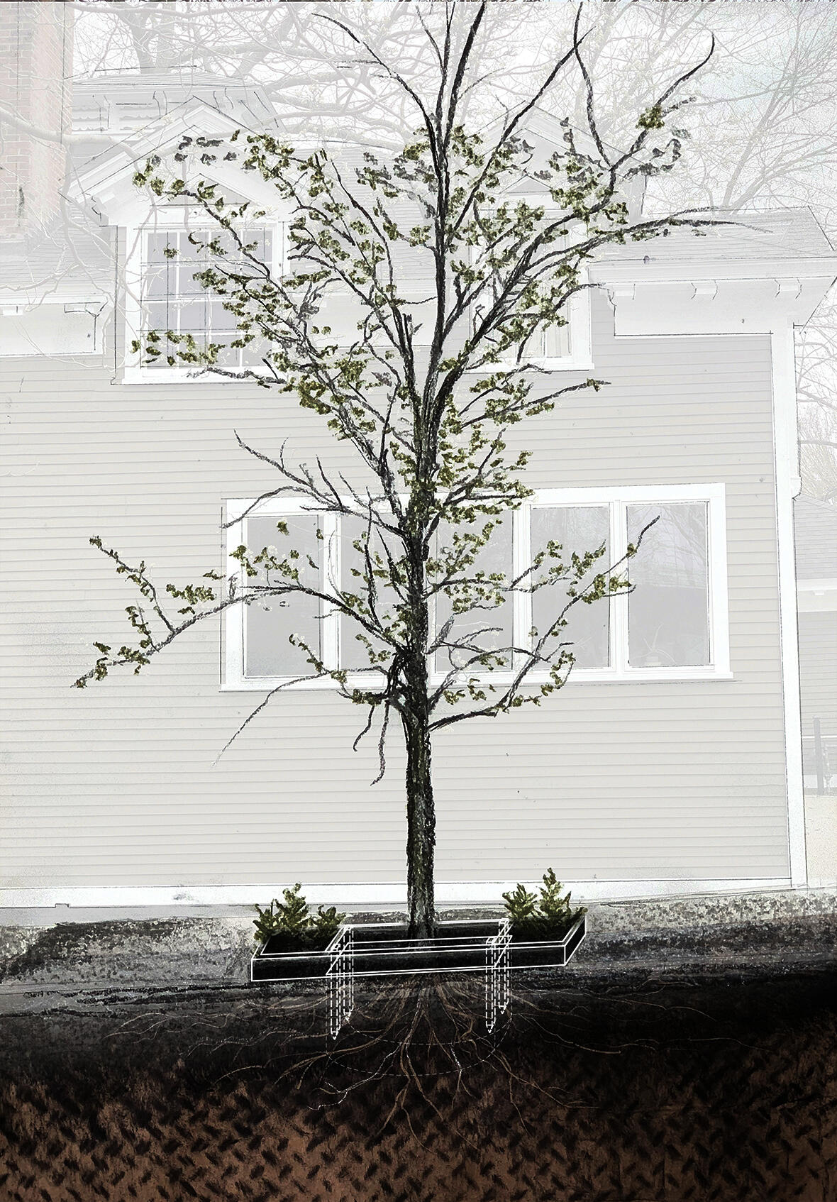 Raised bed for tree pit, illustration