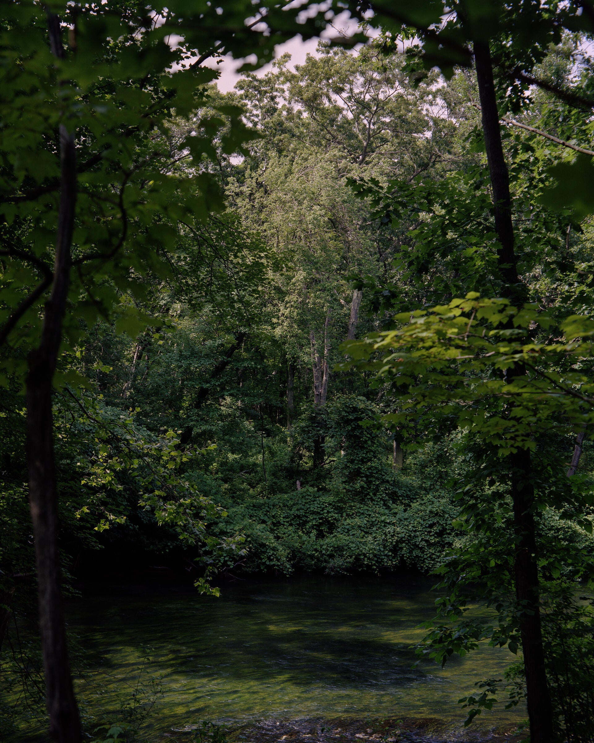 a utopian landscape