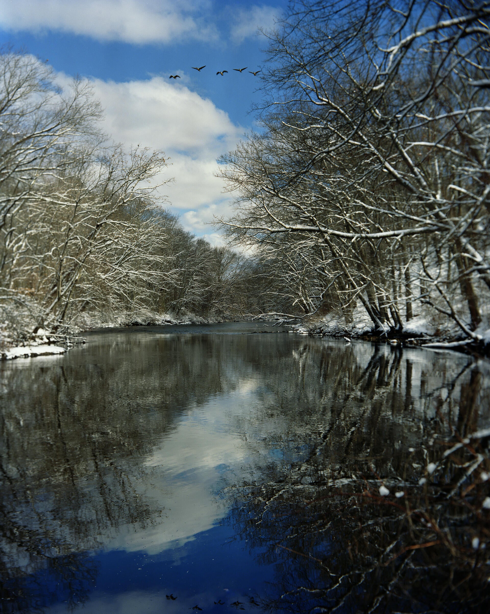 snowy river