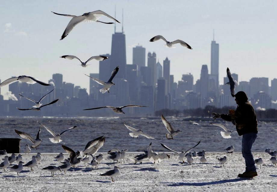 01  Cities Humans Birds Photo : Nam Y. Huh