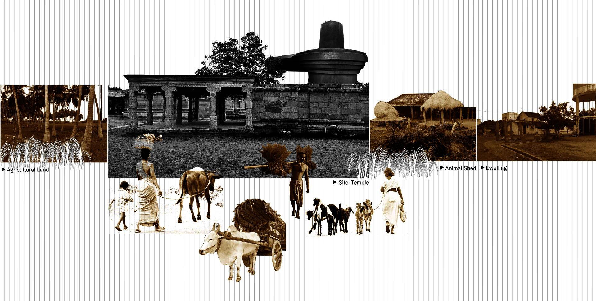 Site collage with sepia tone, a large size