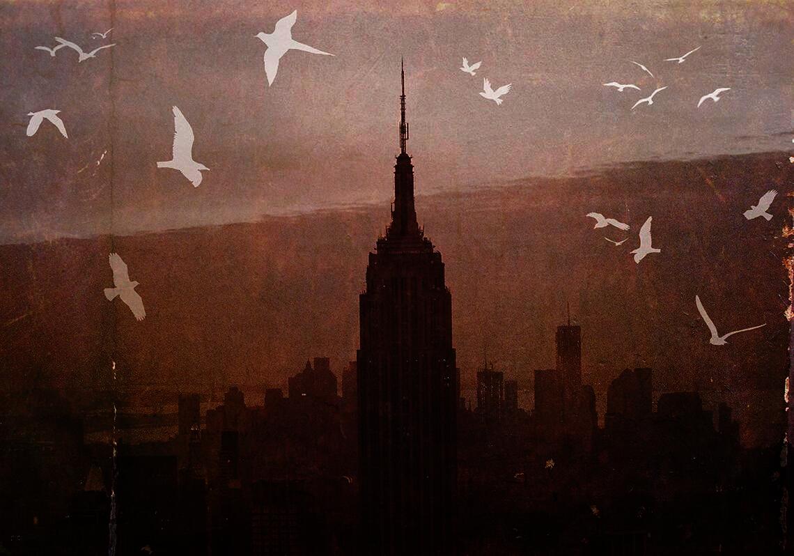 Vintage Photo: Birds over Manhattan produced by maybesparrowphoto