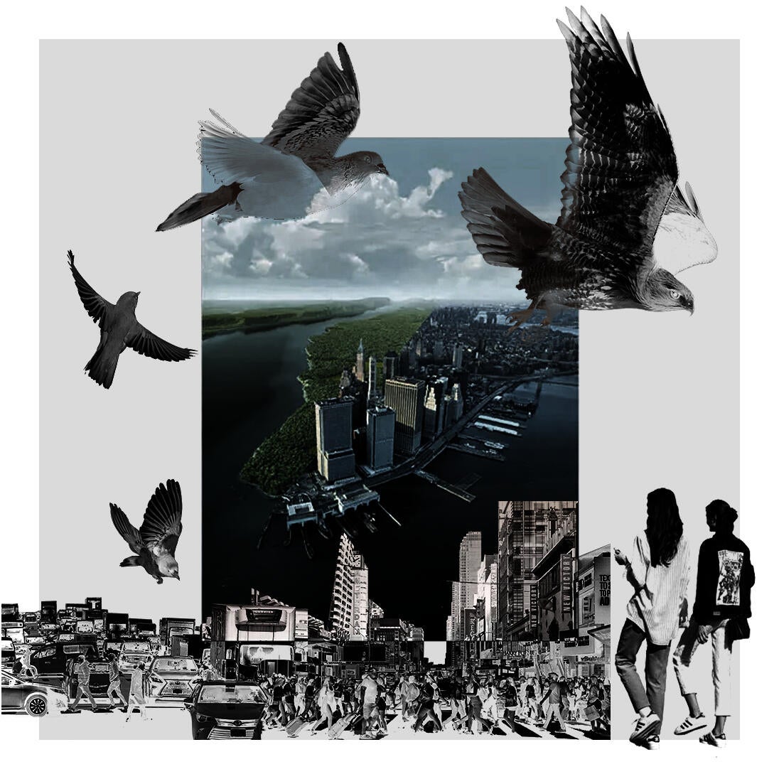 Human & Birds in Cities