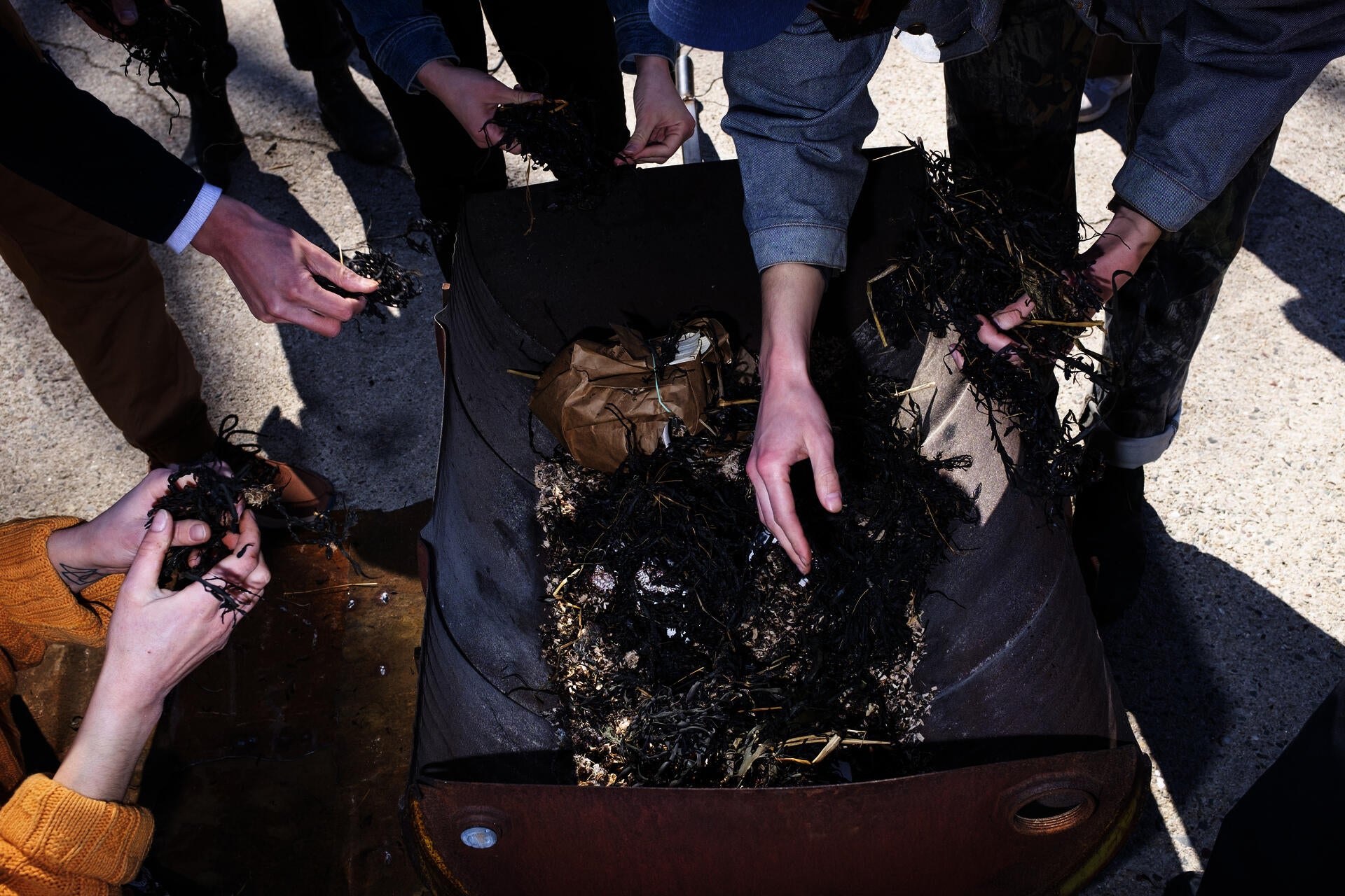 Hot Talks, Seaweed Hands