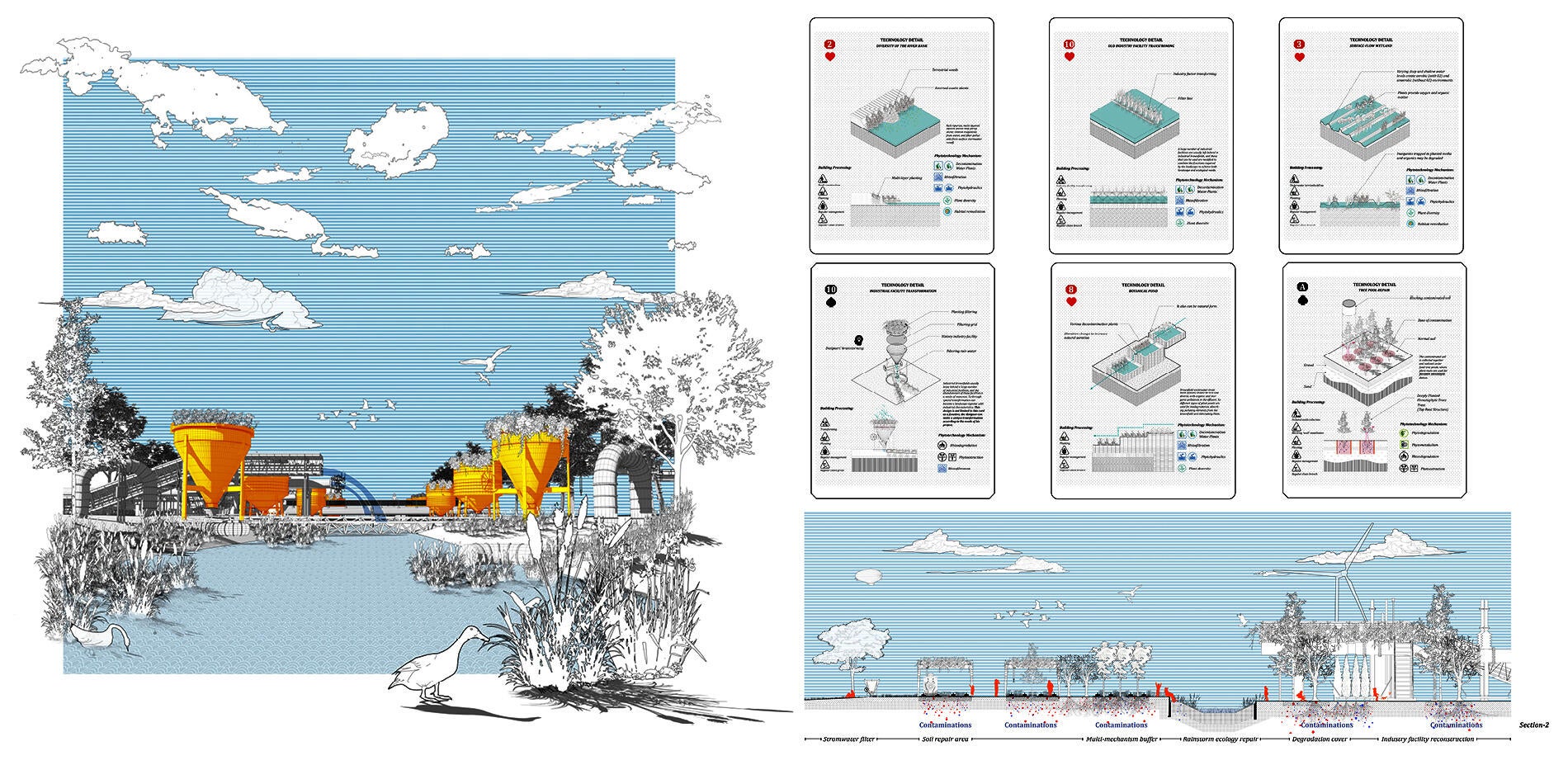 Rendering & Section