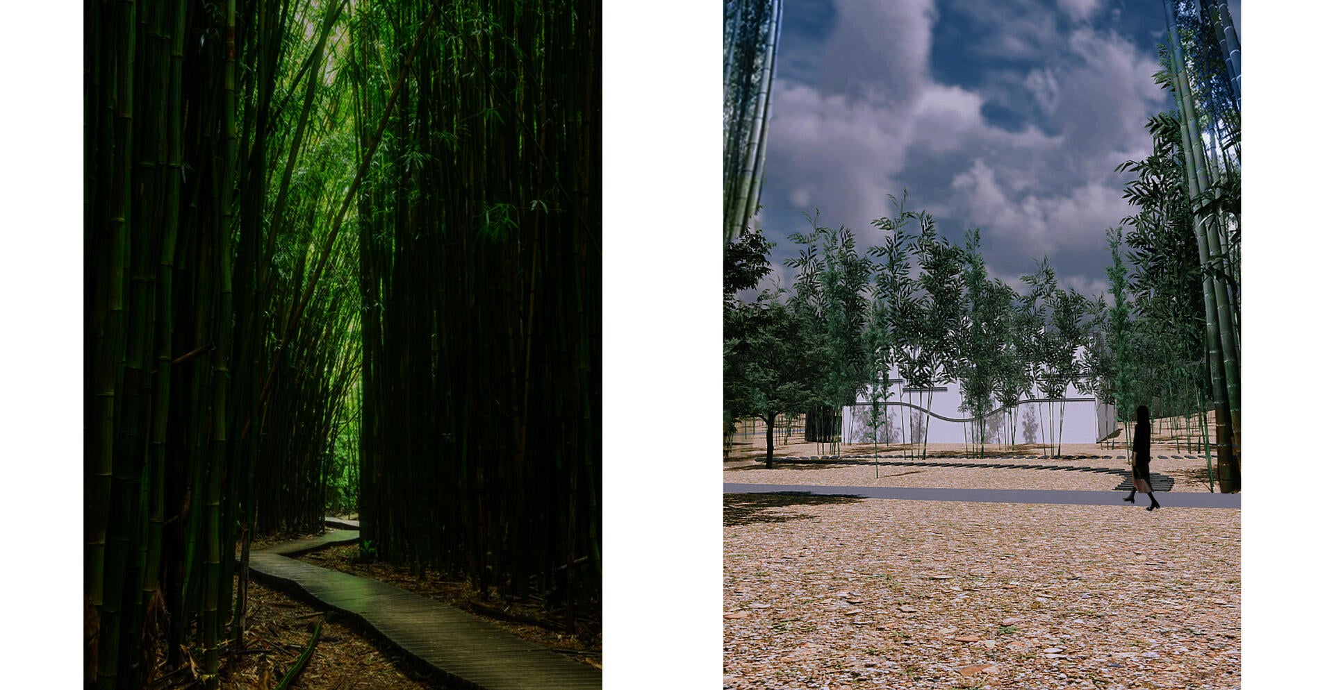 bamboo forest and design building