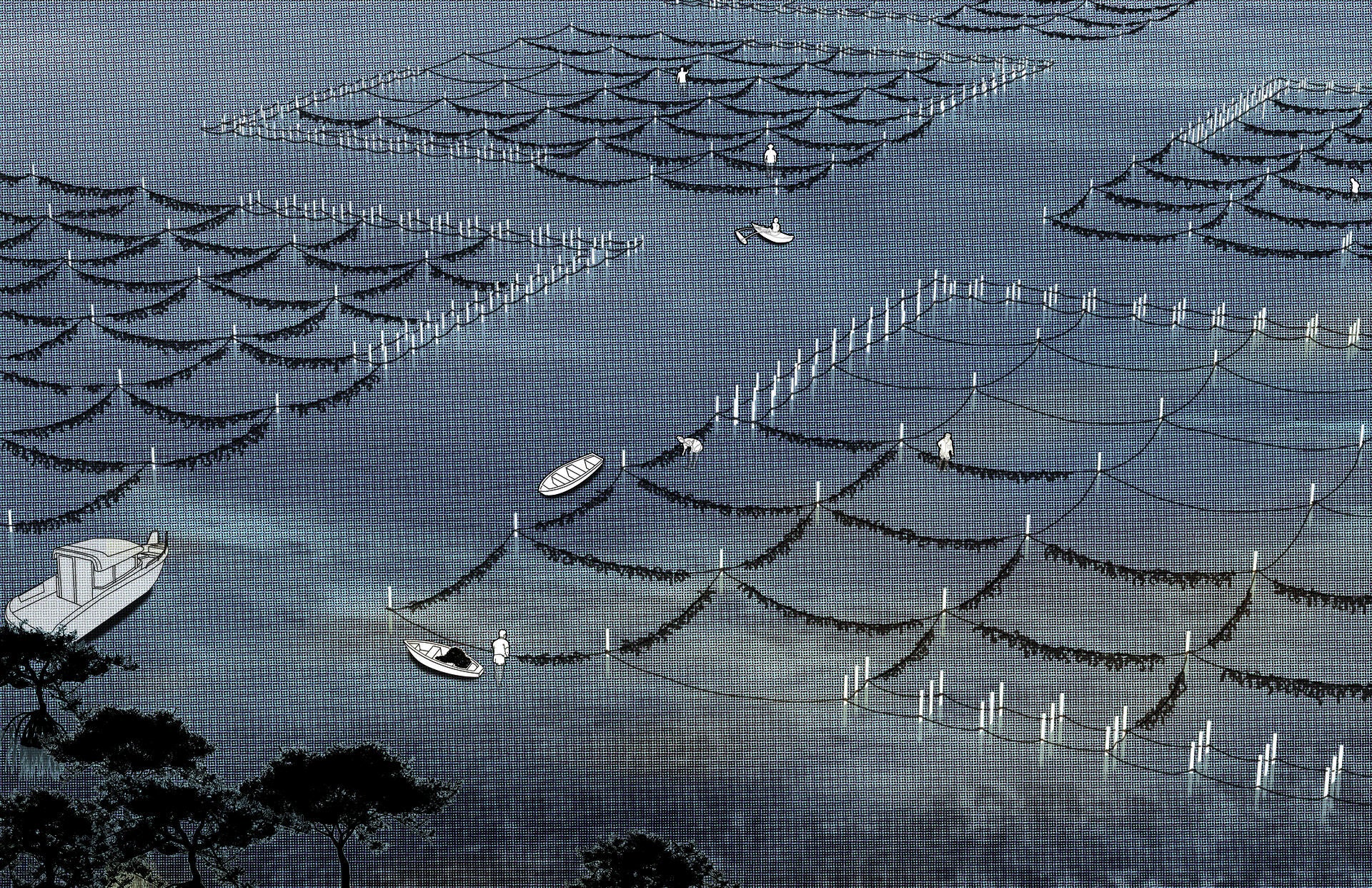 seaweed farm