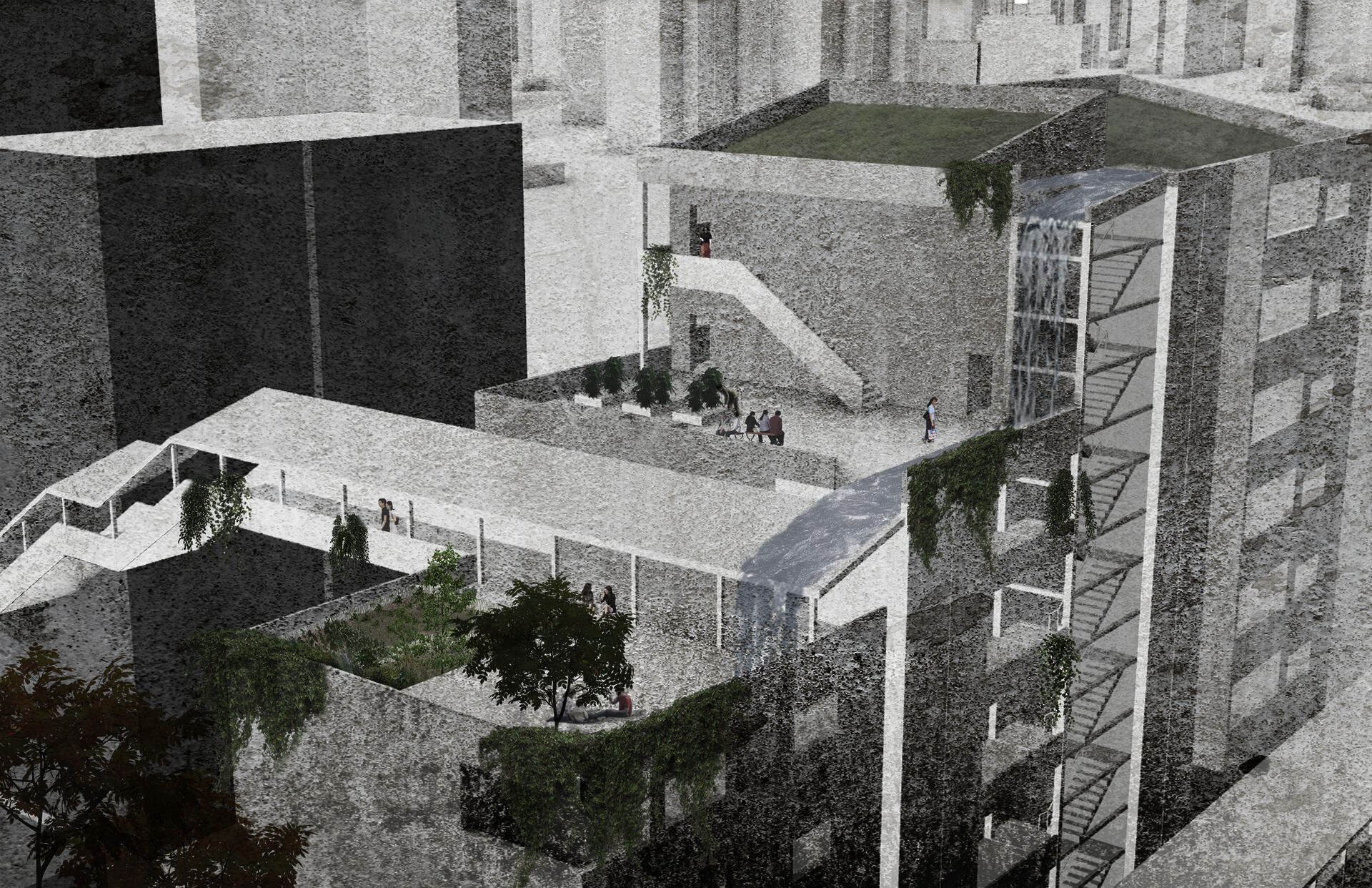 View of the shared "backyard"