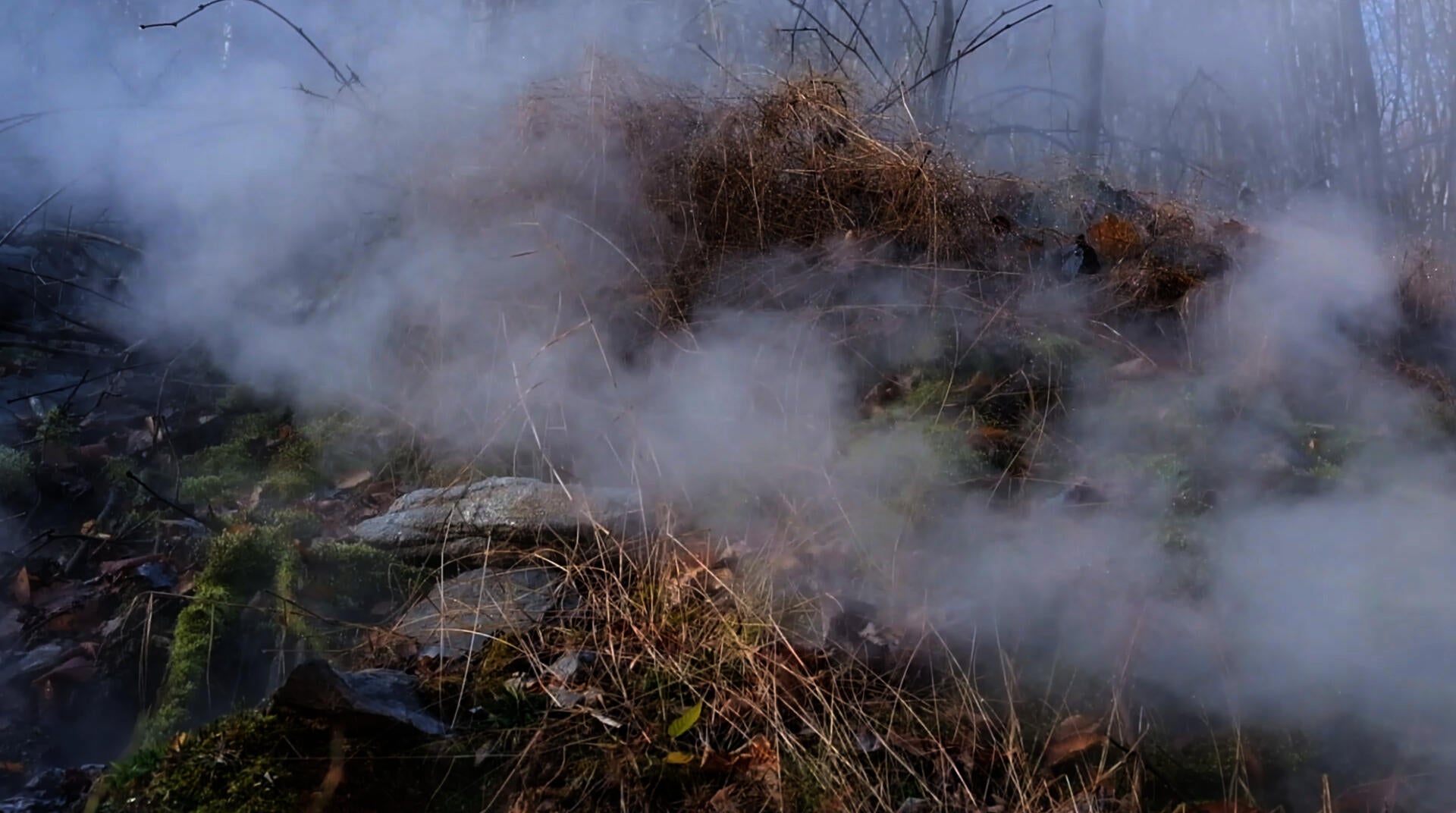 steam from the borehole