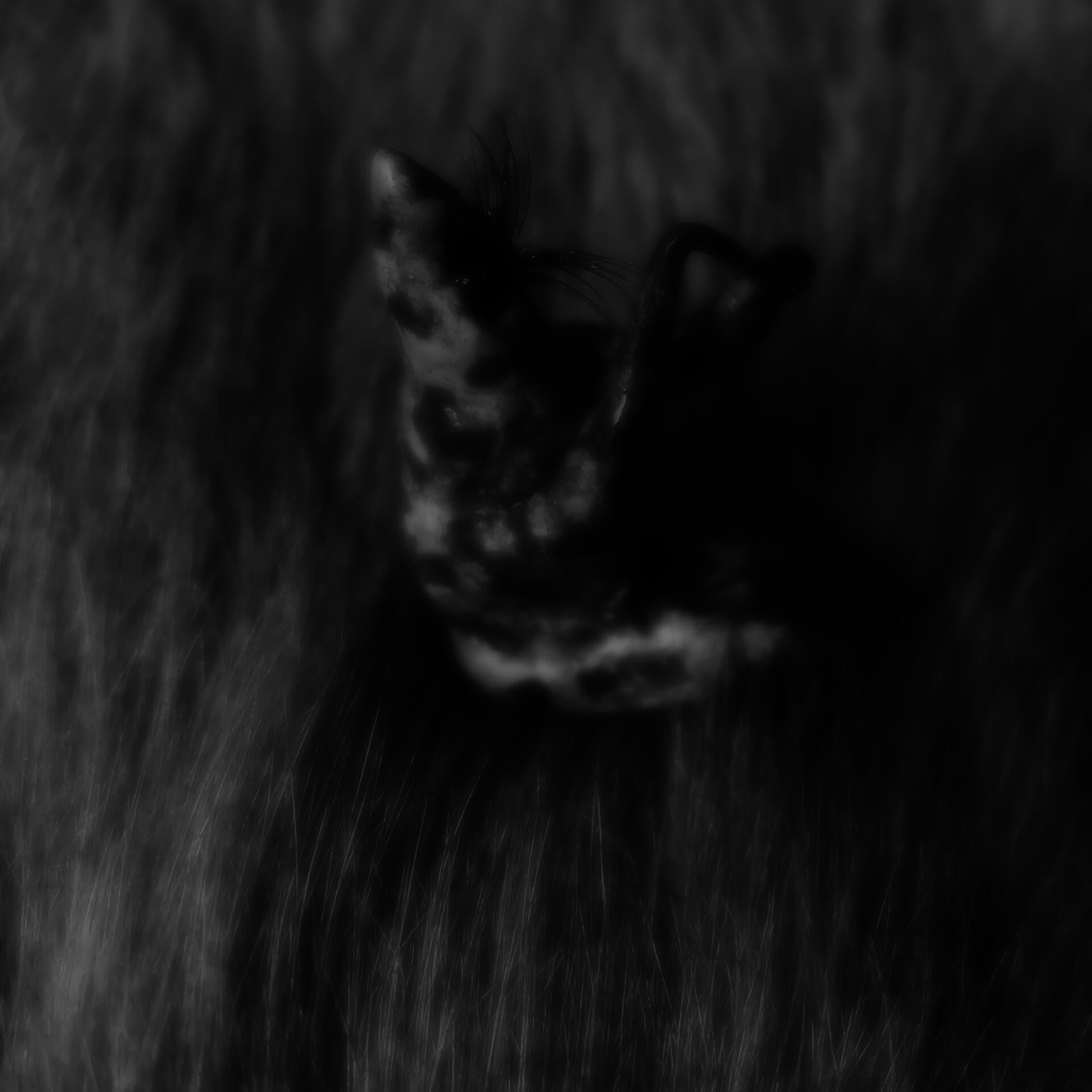 a little dream monster