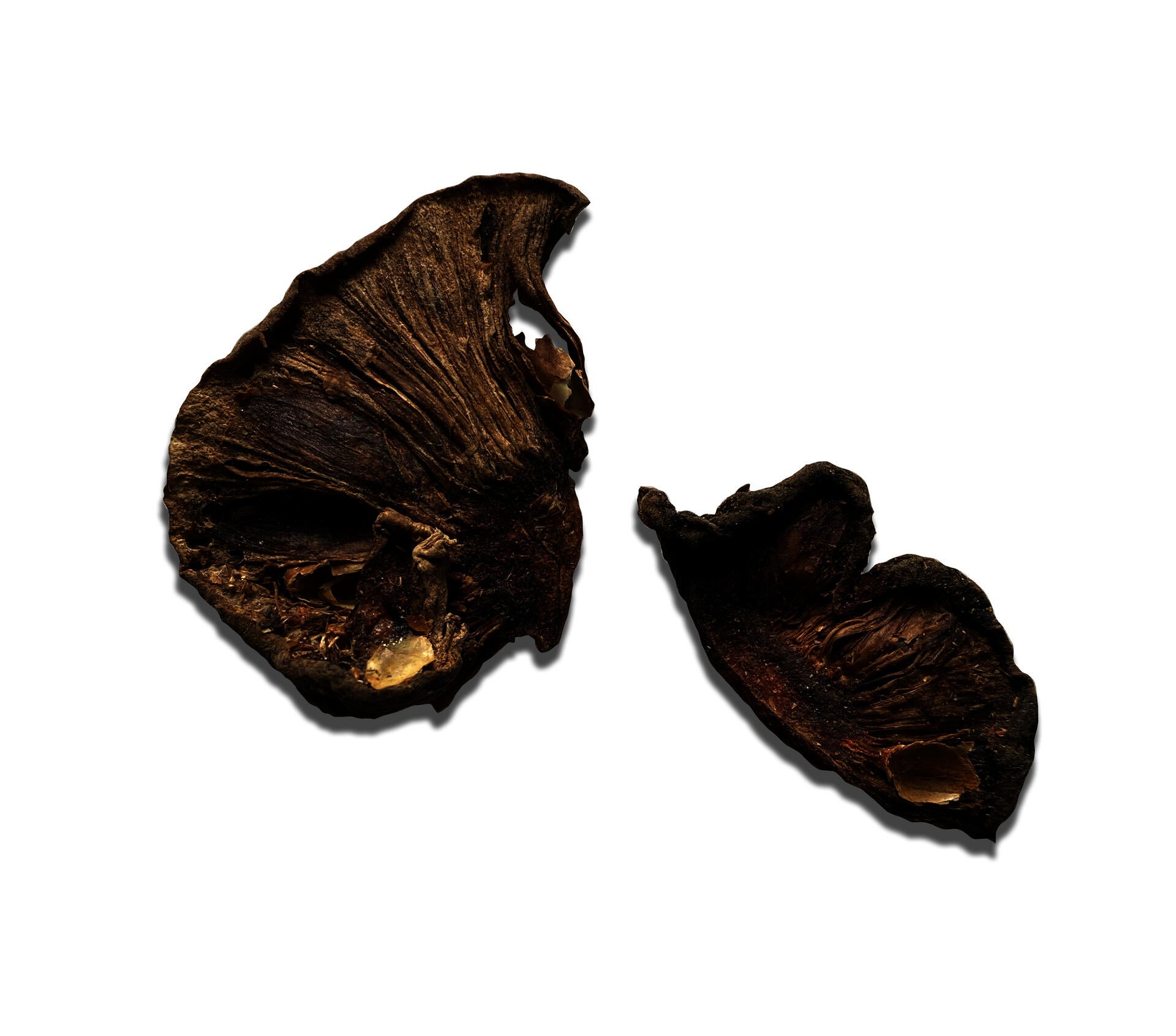 Image of kokum 