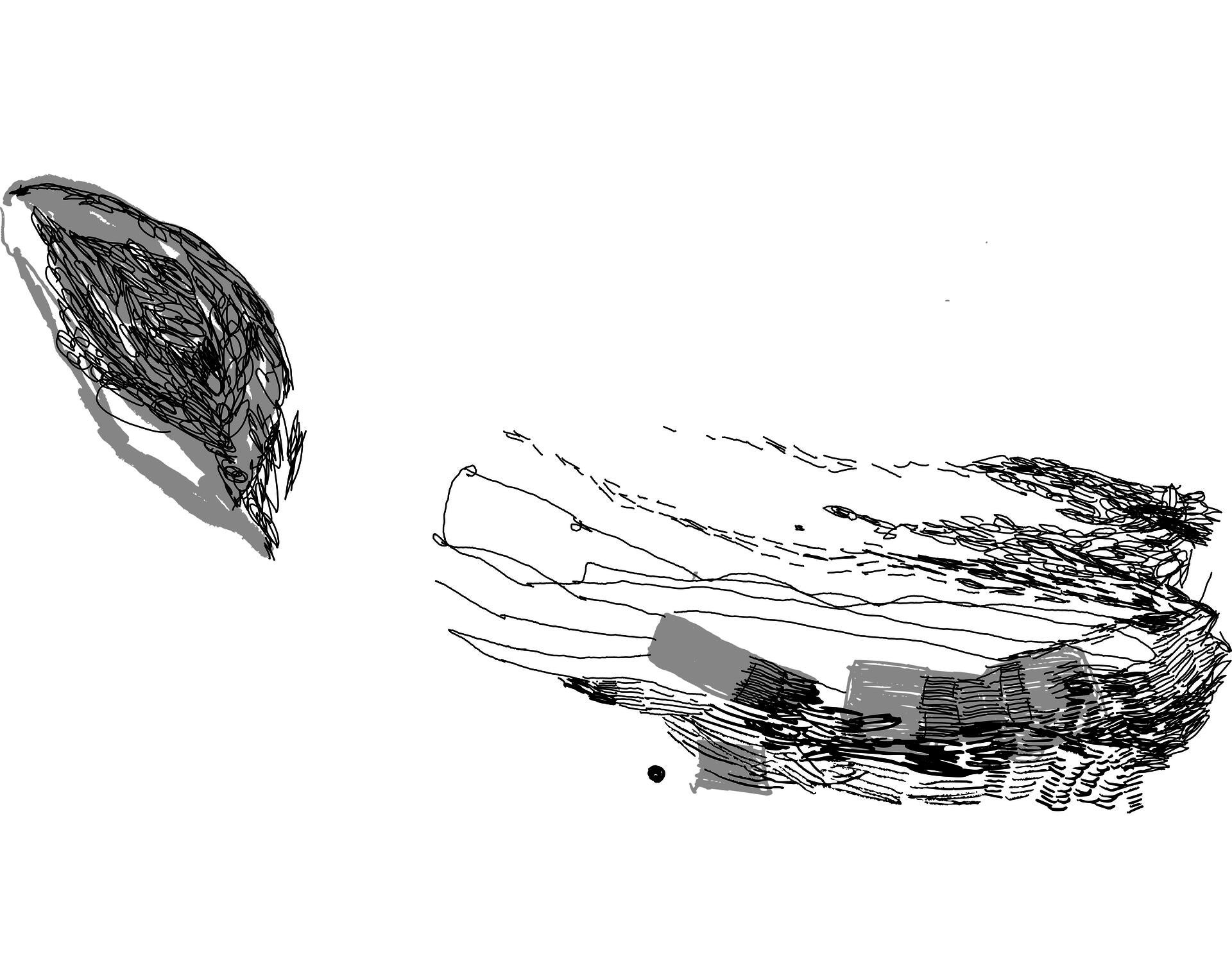 Black and grey line drawing with two parts: a scribbly black line cloud on the left over a grey solid and on the right a mix of black line marks and lines over small grey squared.