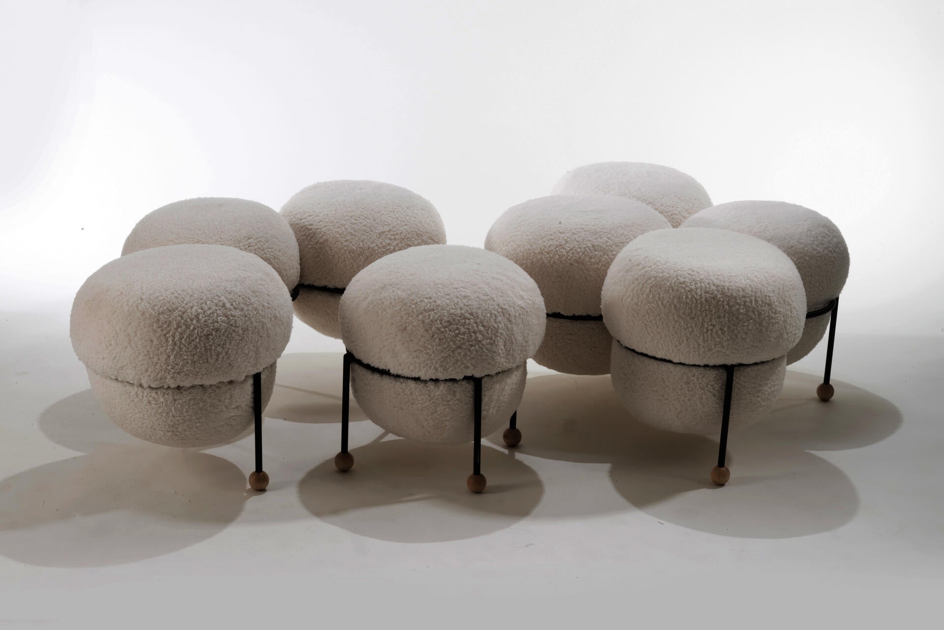 a flock of sheep